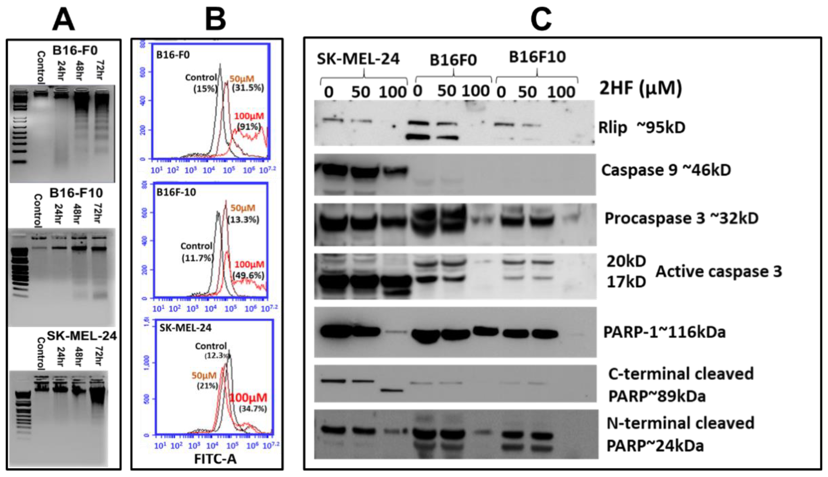 Cancers 11 01556 g002