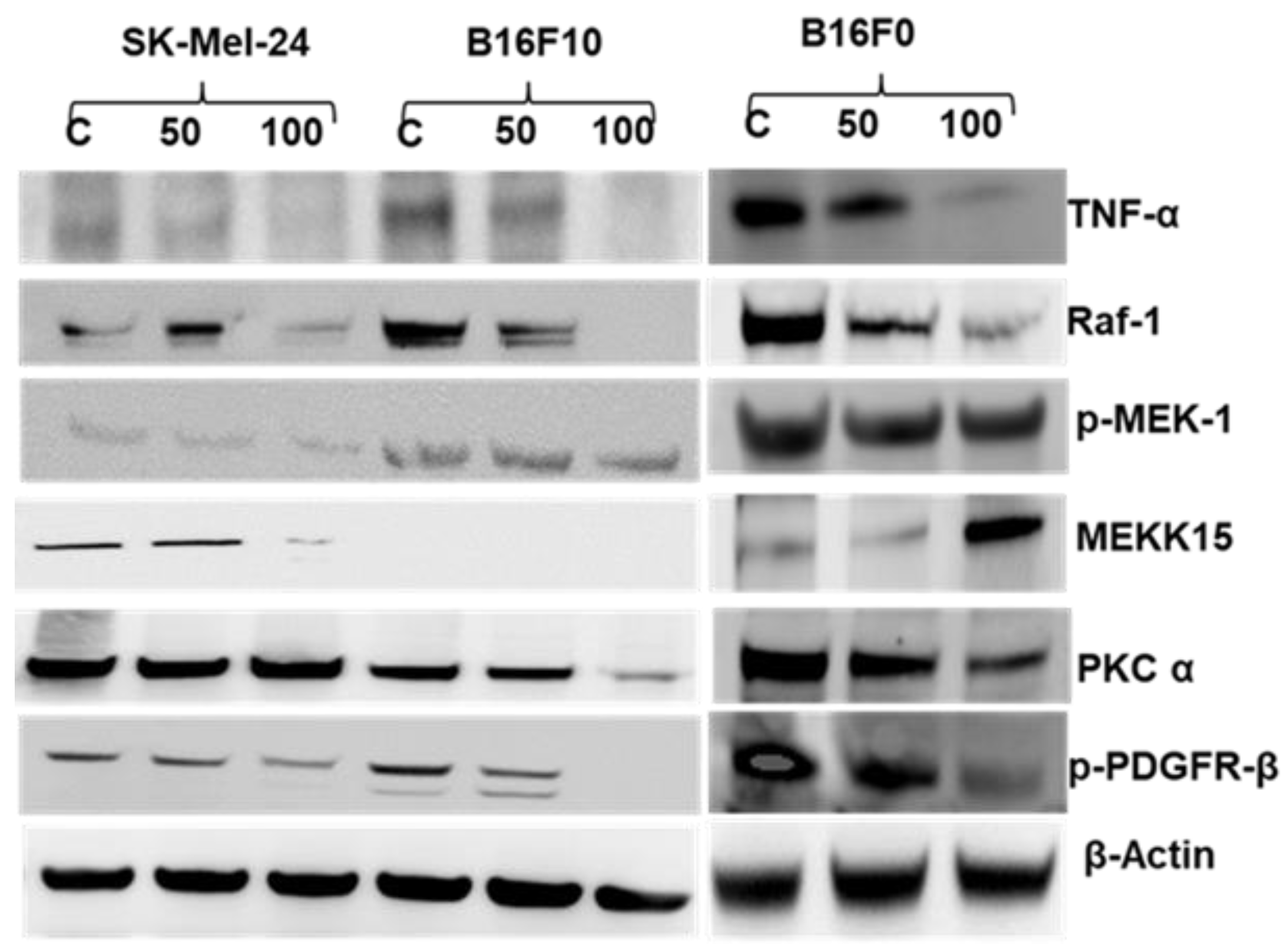 Cancers 11 01556 g005