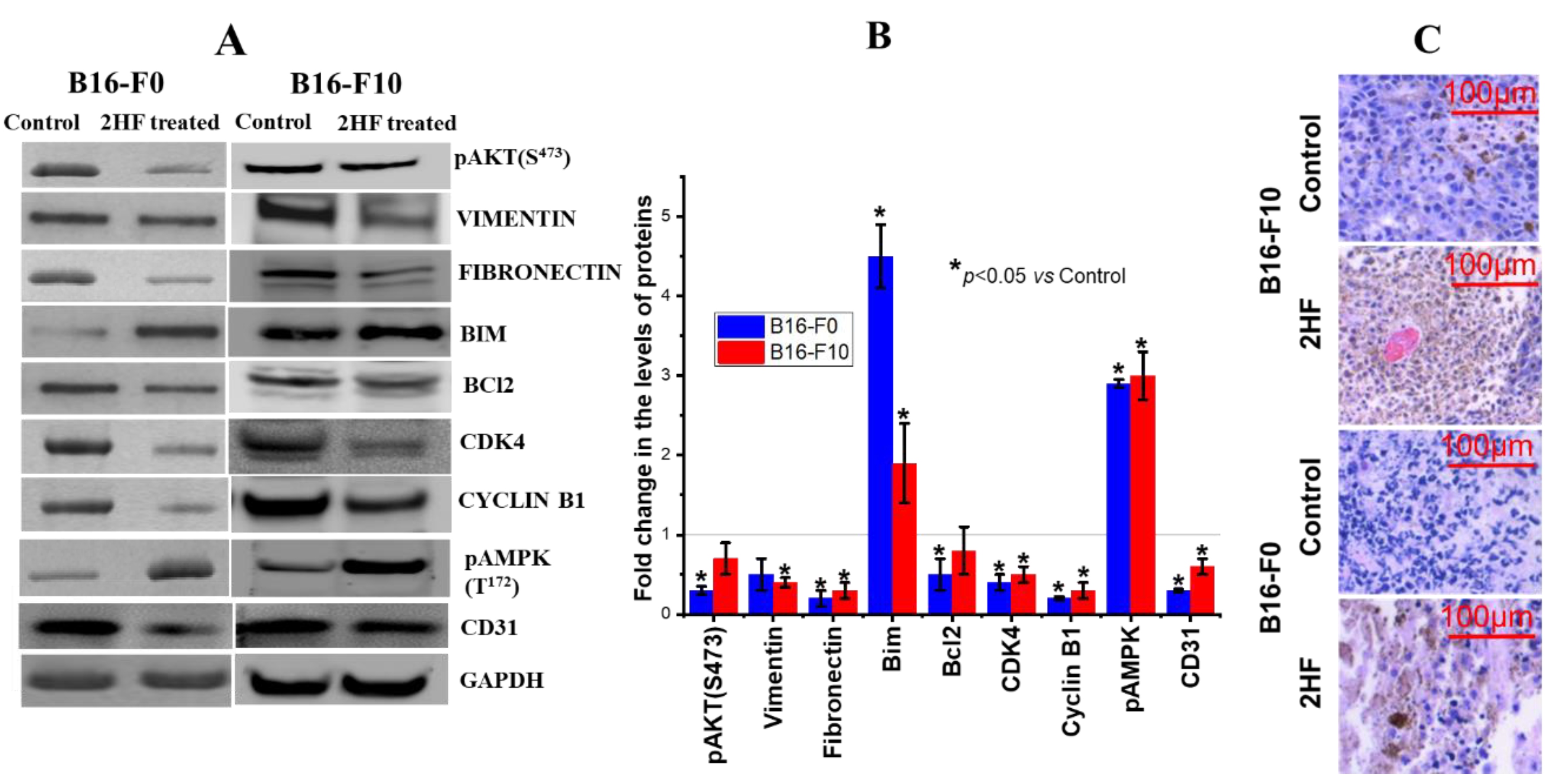 Cancers 11 01556 g009