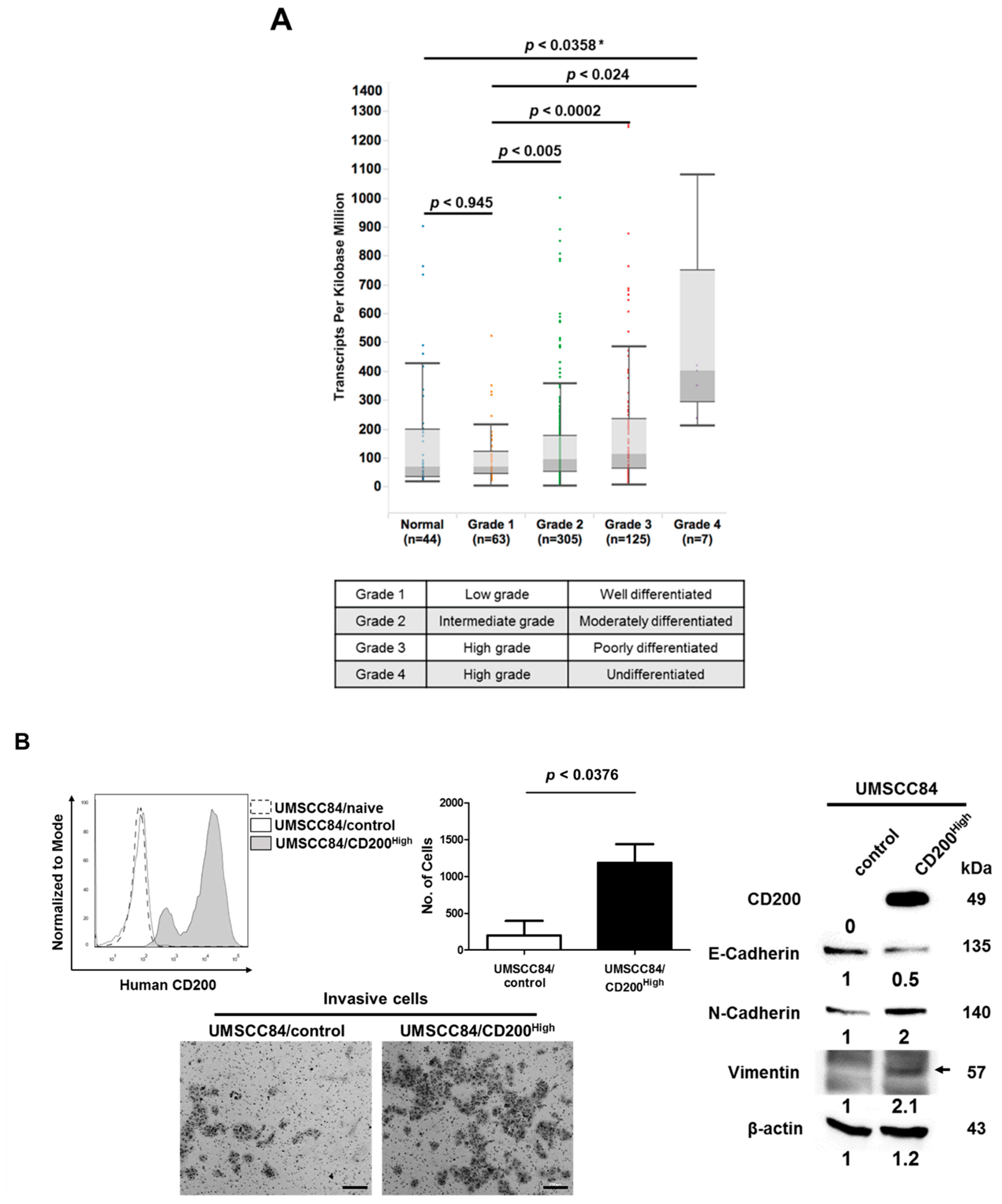 Cancers 11 01583 g001a