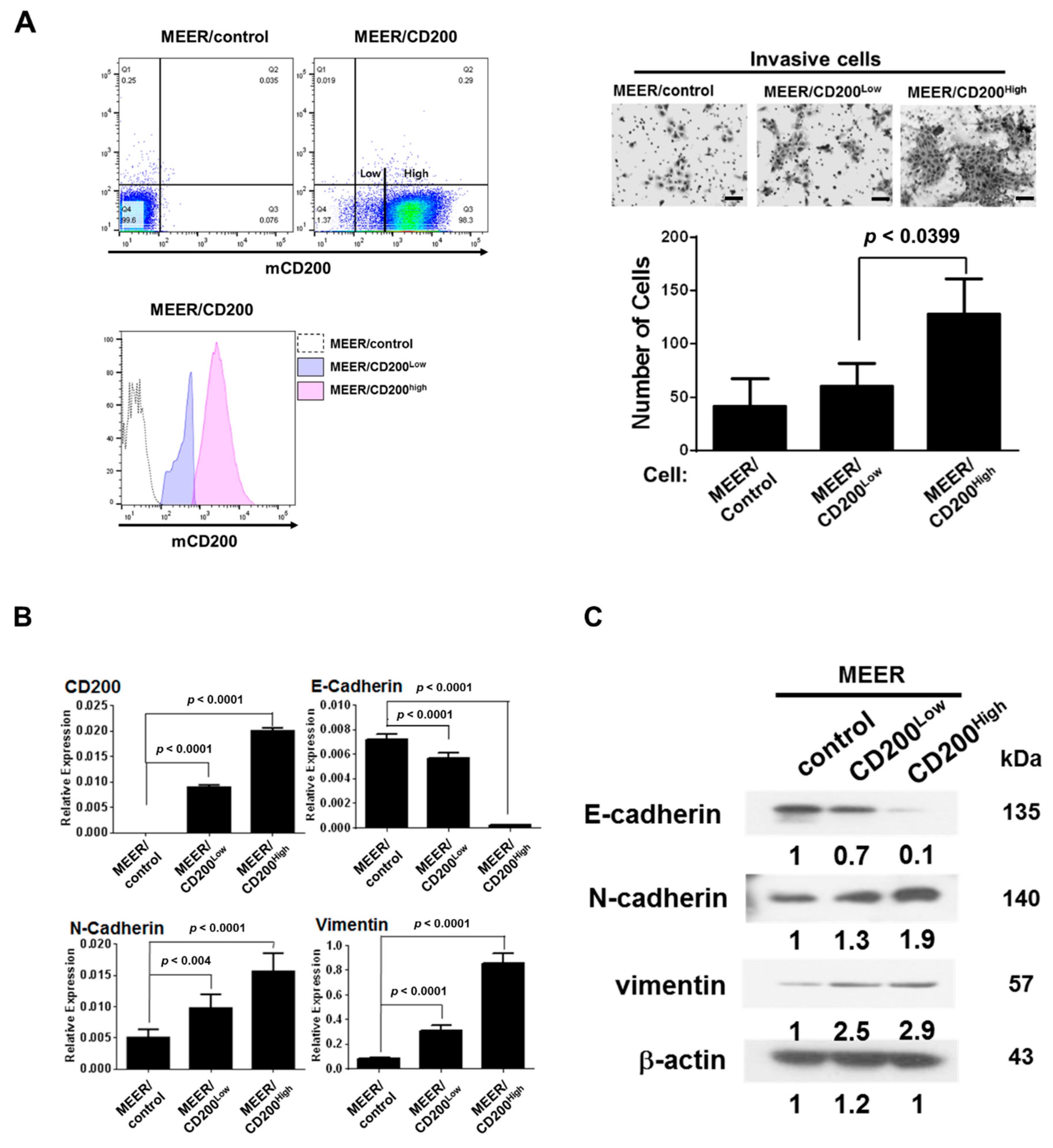 Cancers 11 01583 g002a