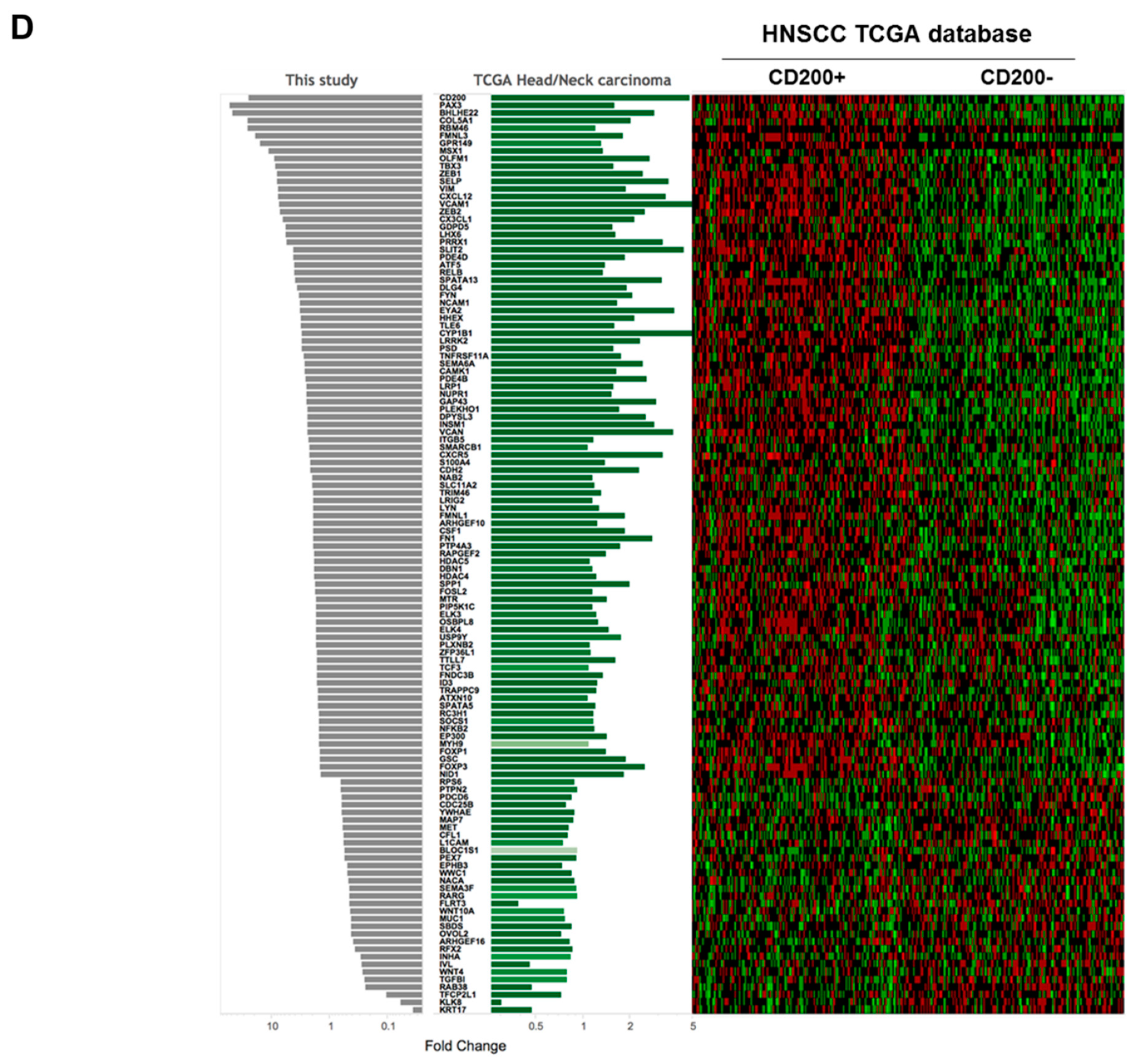 Cancers 11 01583 g002b