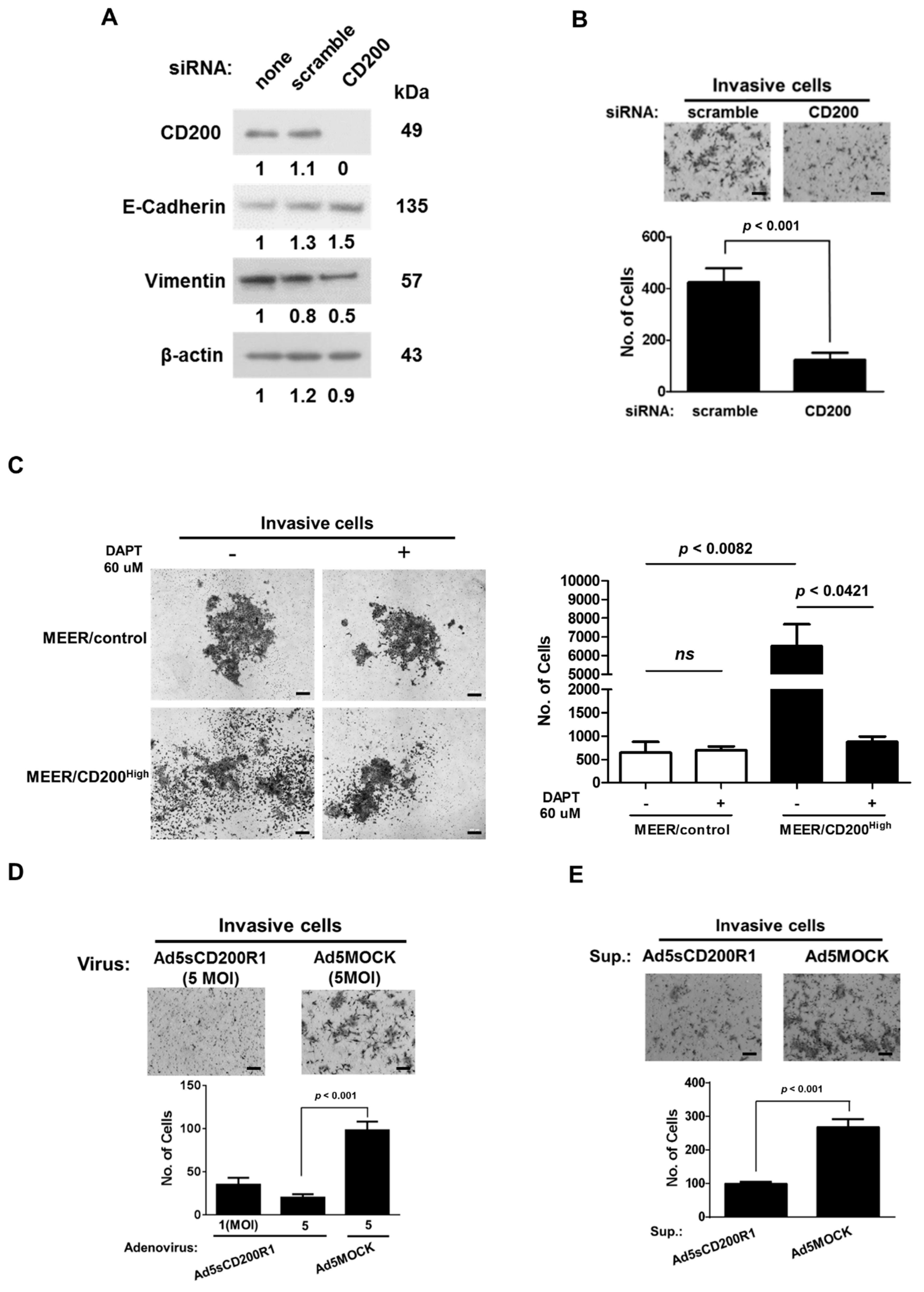 Cancers 11 01583 g003