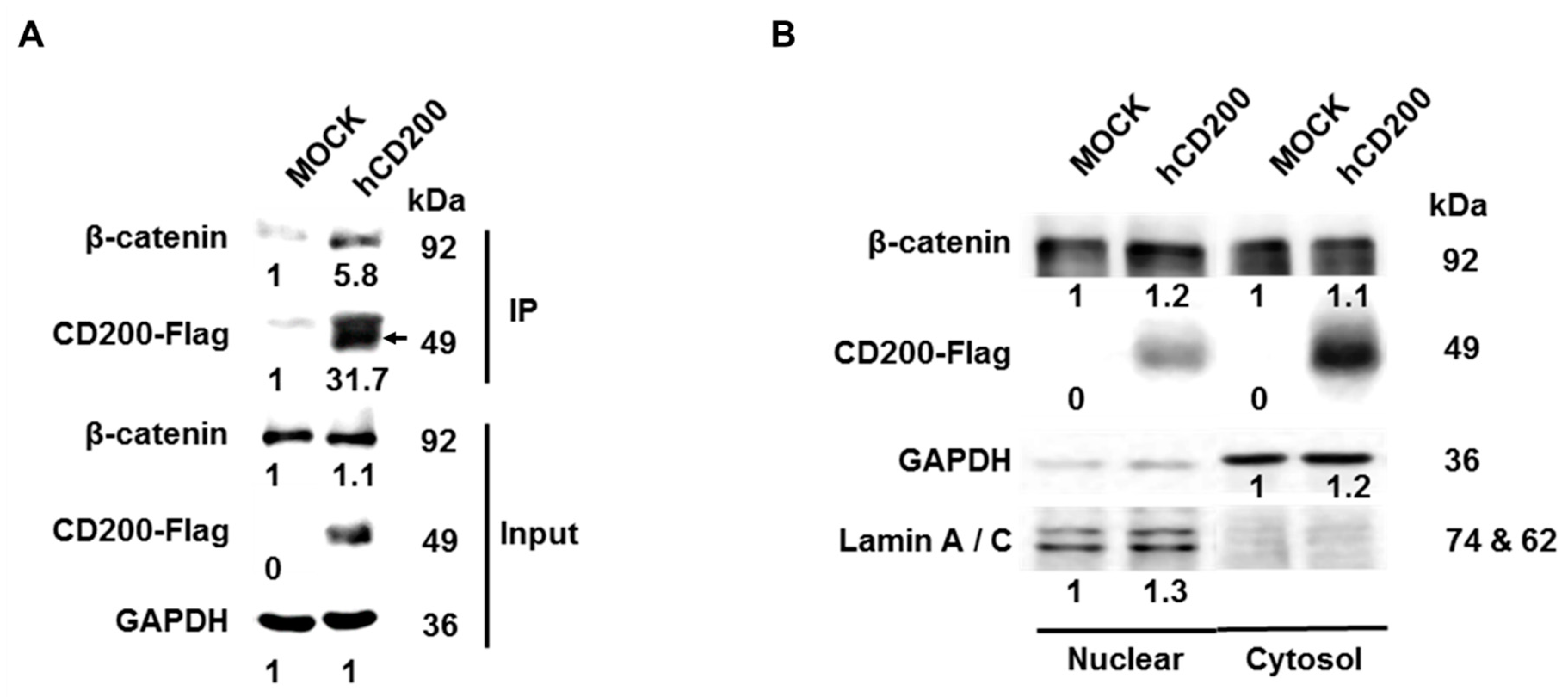 Cancers 11 01583 g004a