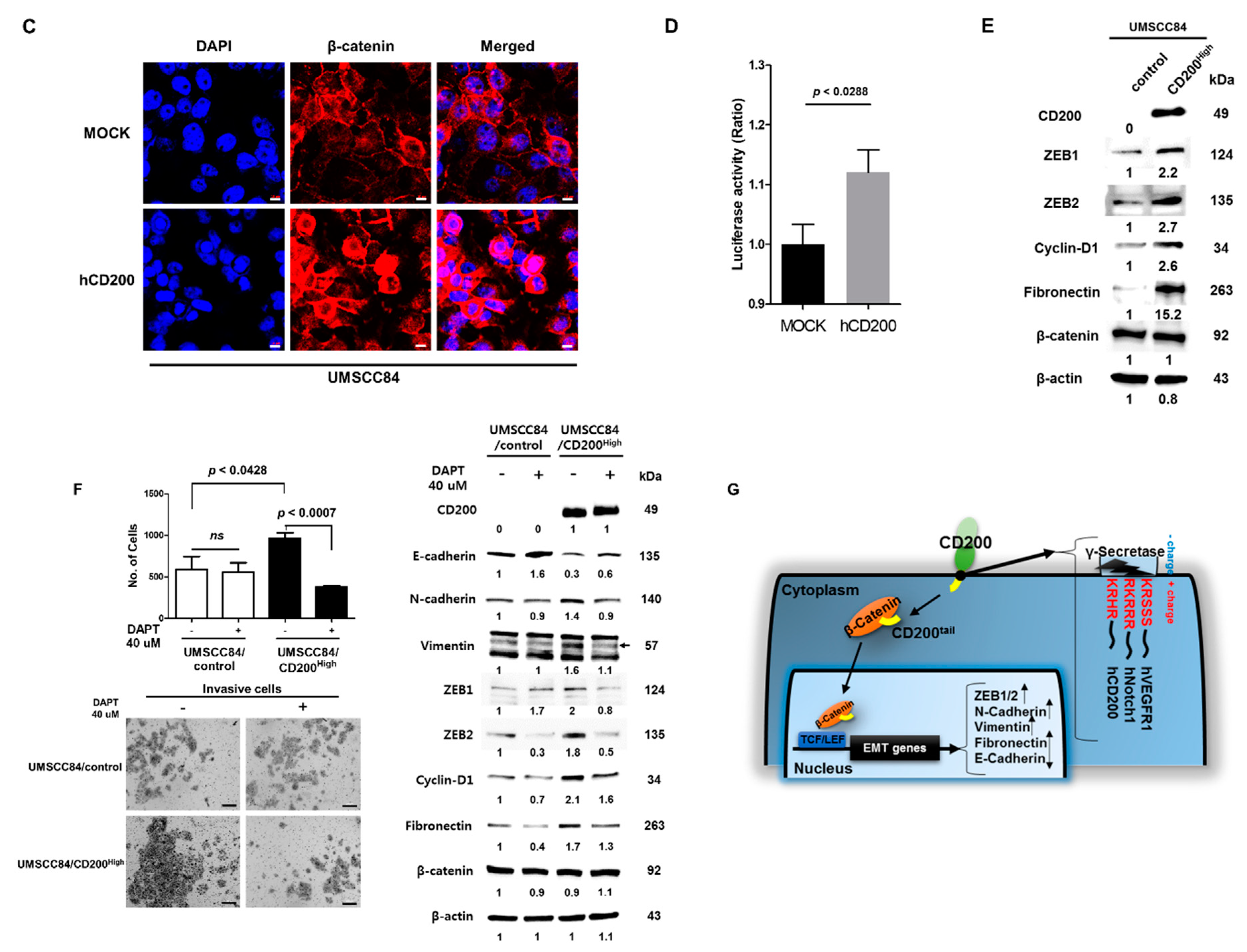Cancers 11 01583 g004b
