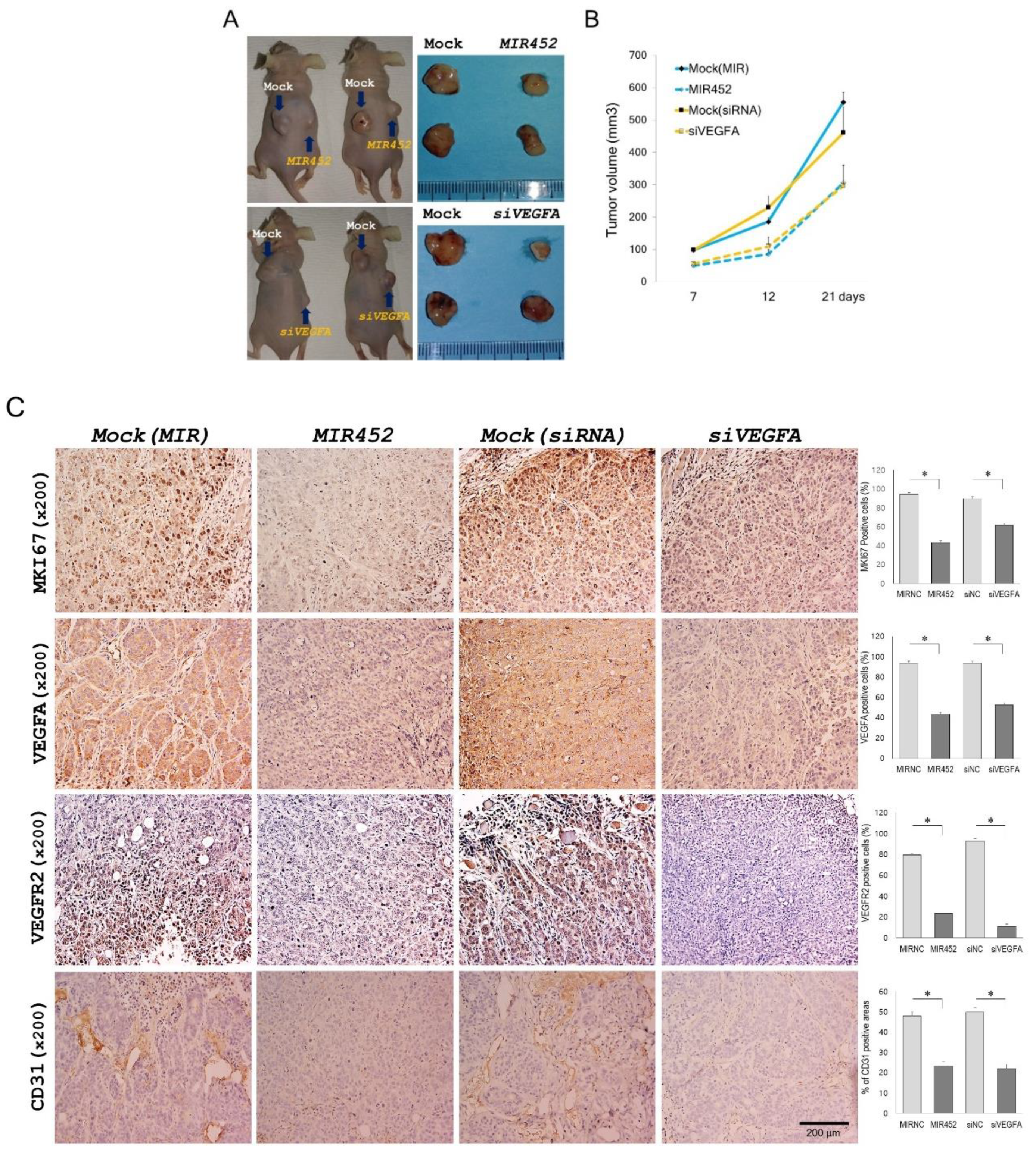 Cancers 11 01613 g006