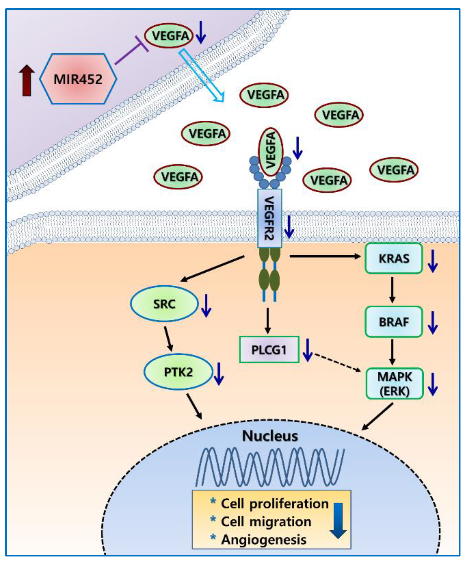 Cancers 11 01613 g008