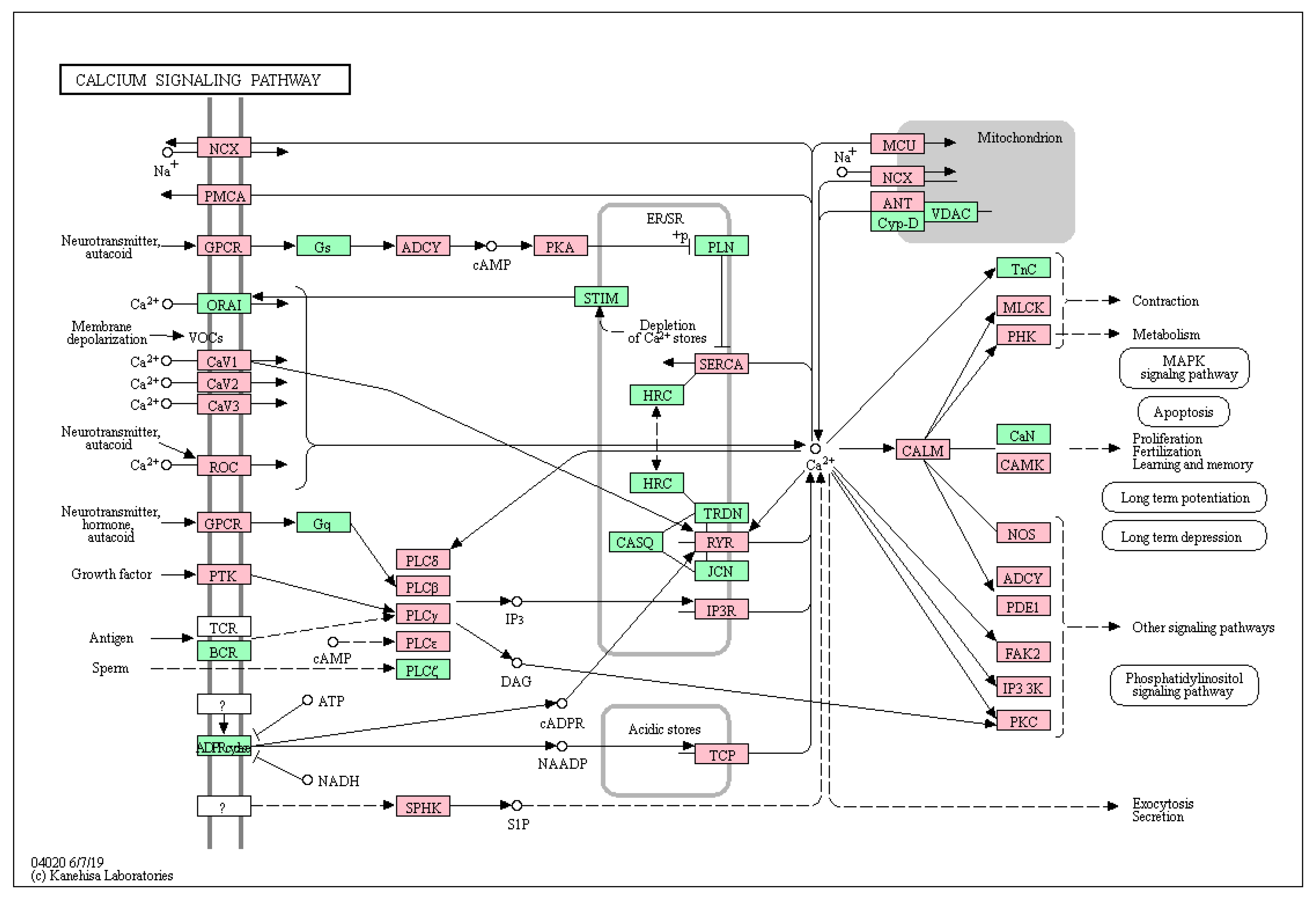 Cancers 11 01688 g001