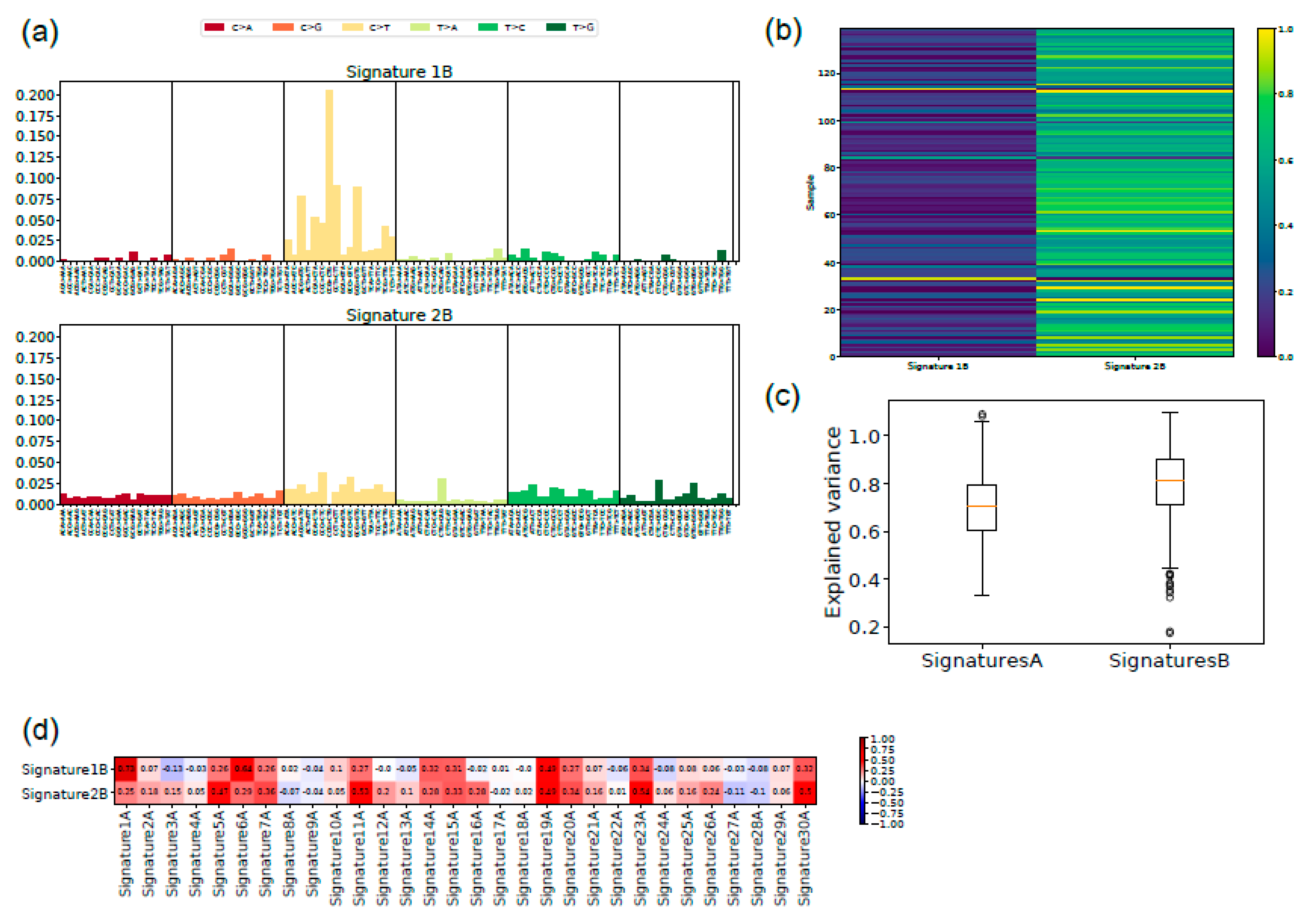 Cancers 11 01688 g005