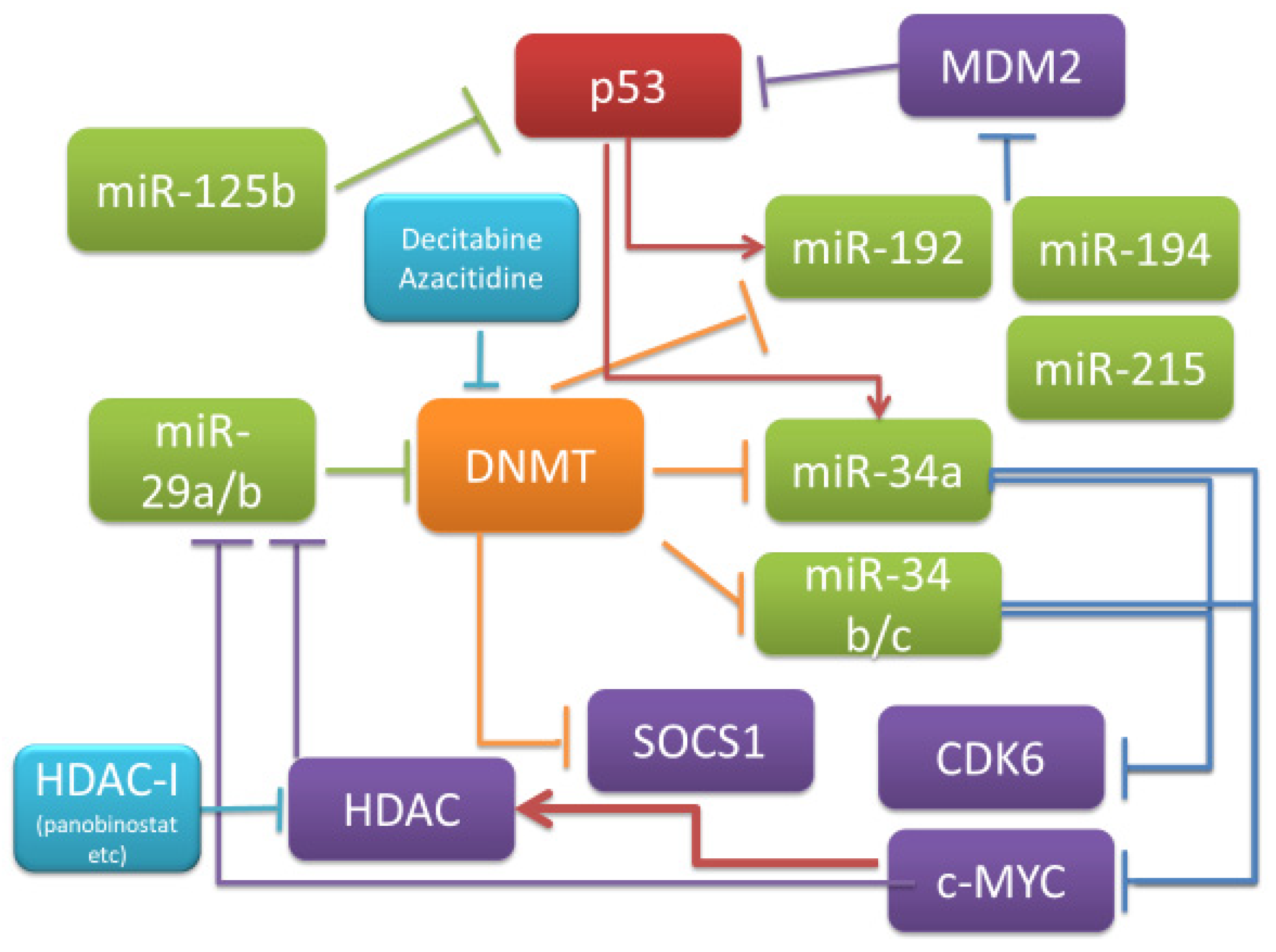 Cancers Free Full Text The Role And Function Of Microrna In The