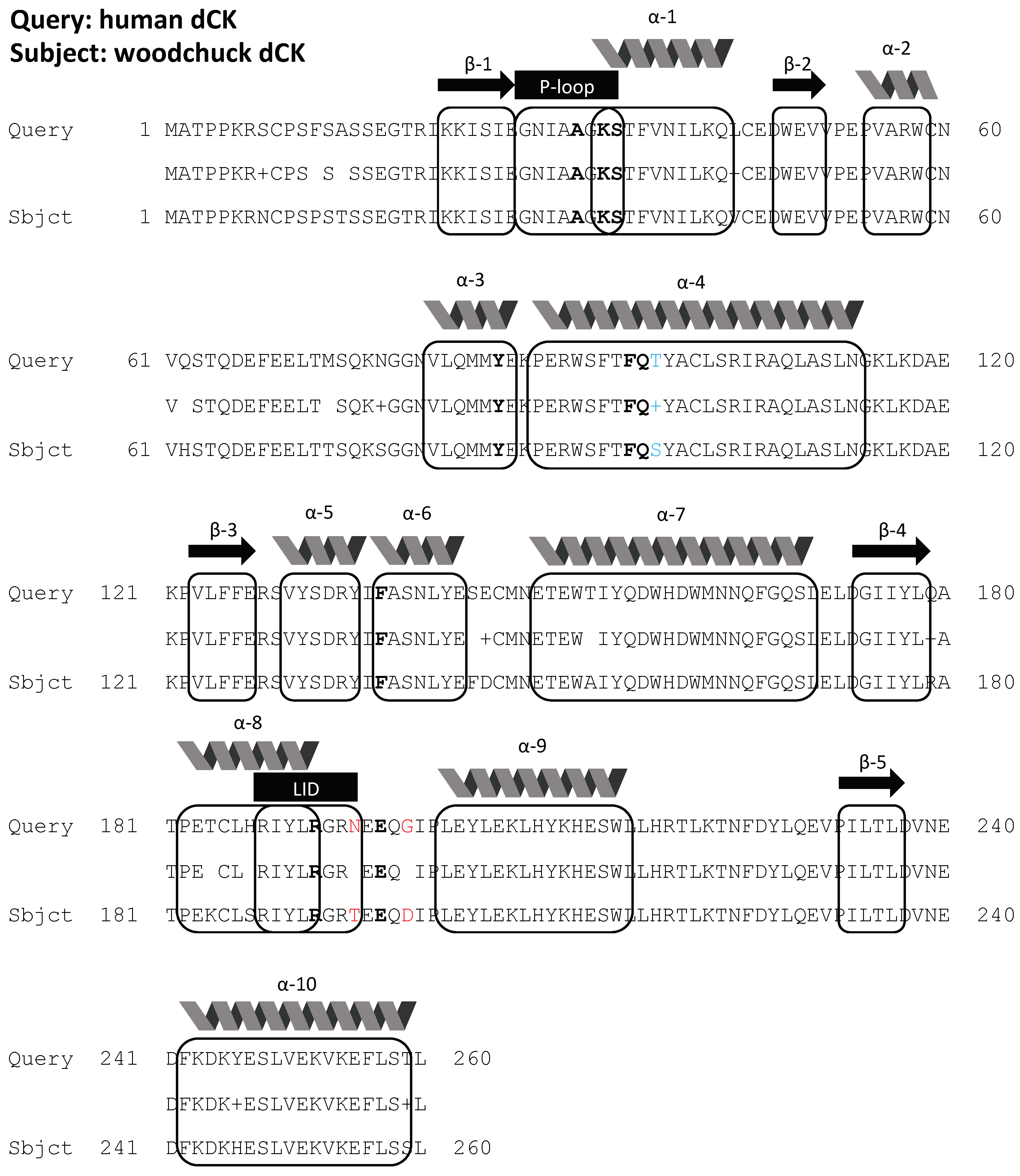 Cancers 11 01748 g002 Cancers 11 01748 g002