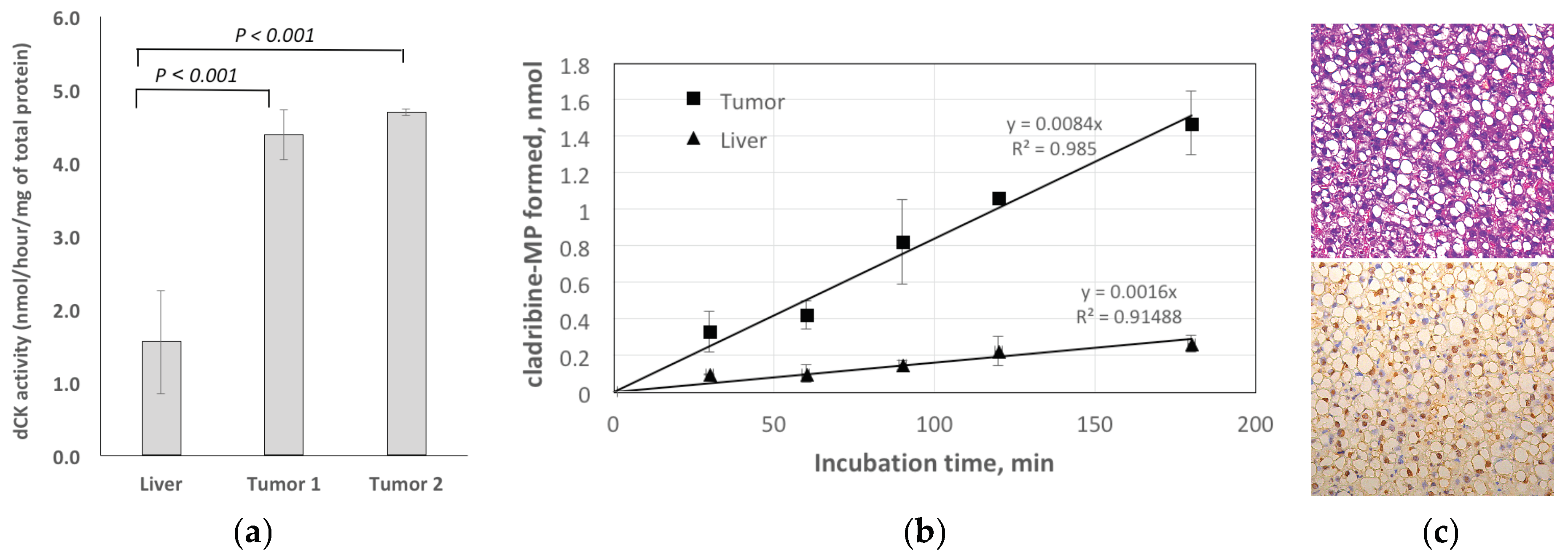 Cancers 11 01748 g007 Cancers 11 01748 g007
