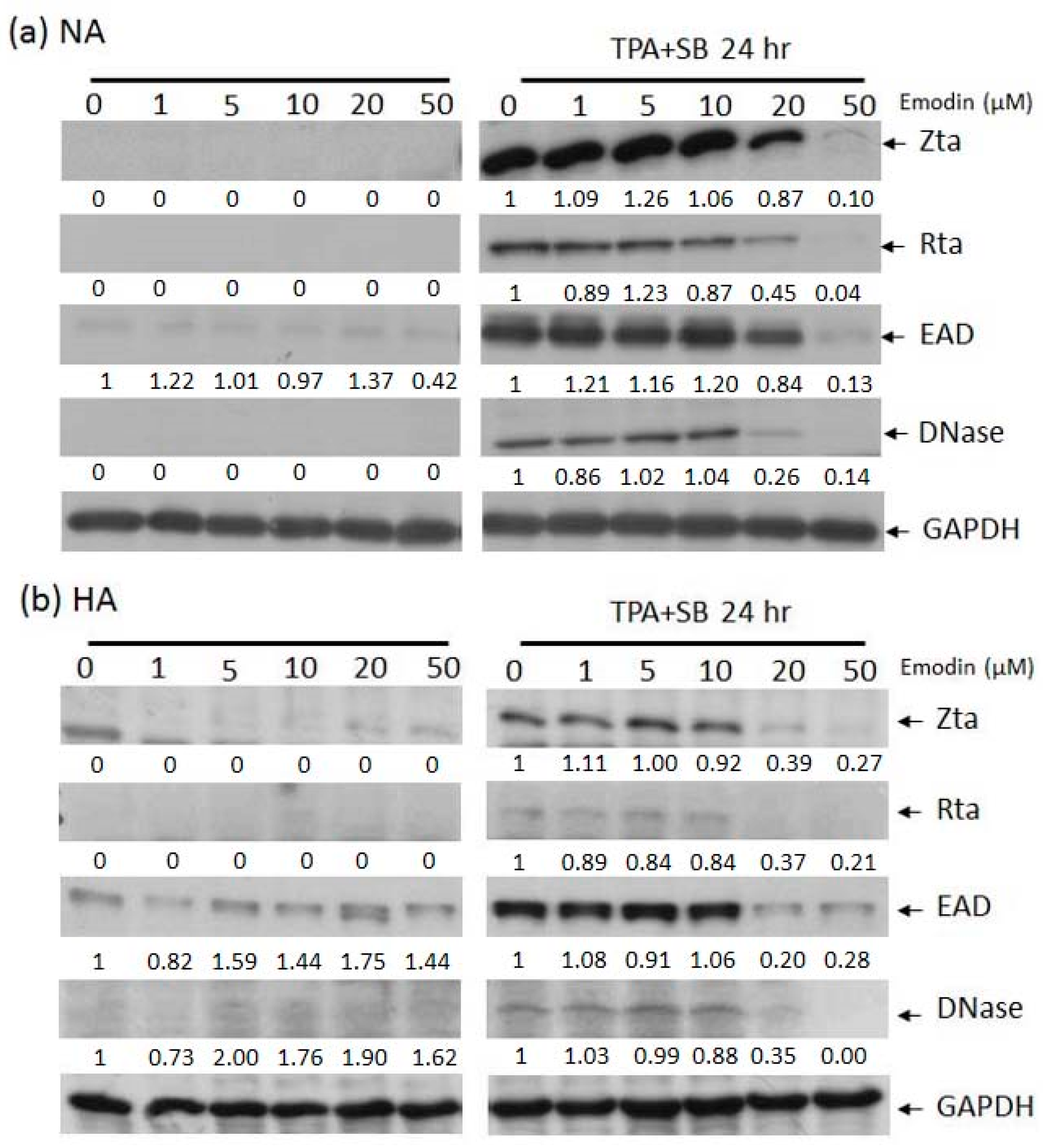 Cancers 11 01795 g002 Cancers 11 01795 g002