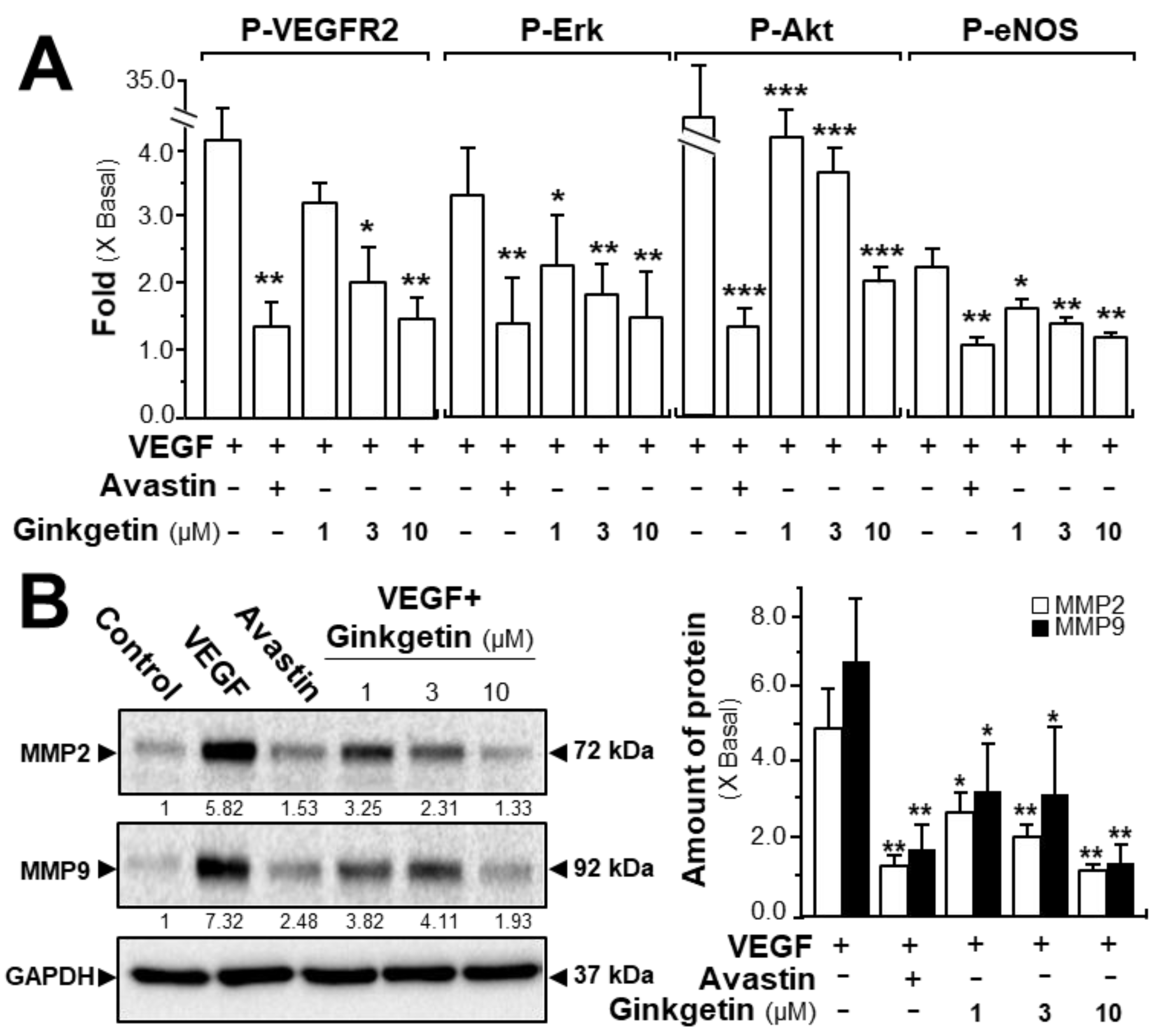 Cancers 11 01828 g003