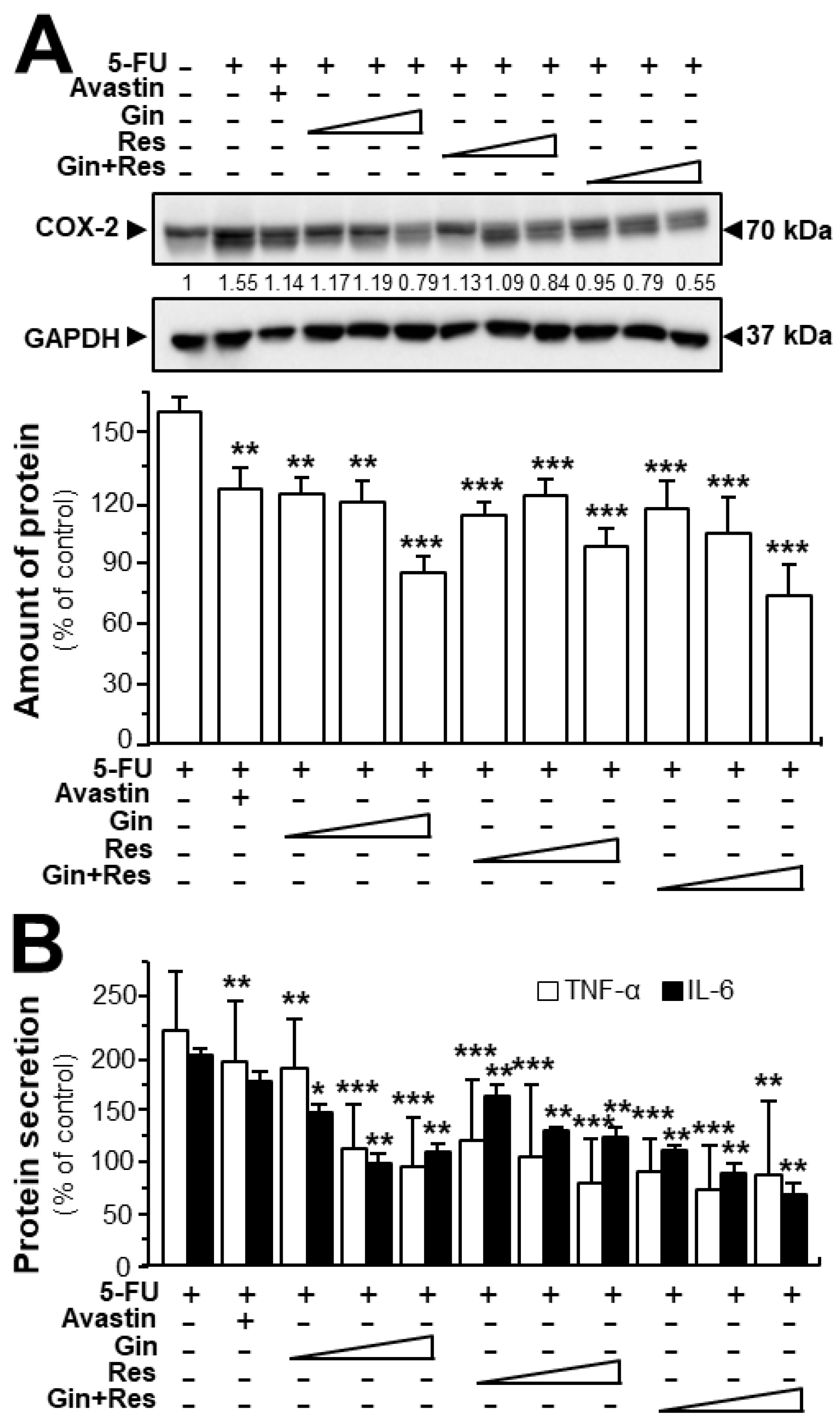 Cancers 11 01828 g008