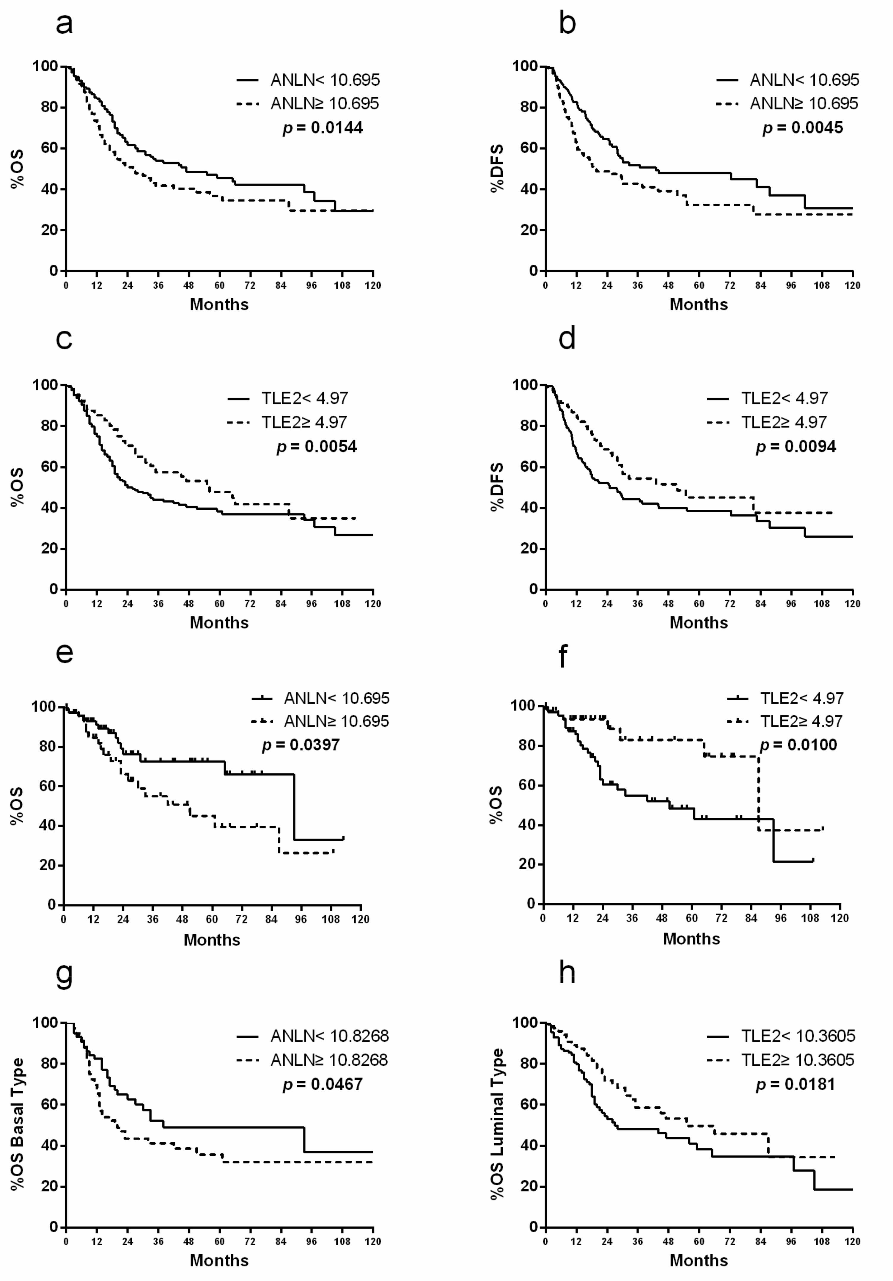 Cancers 11 01840 g002 Cancers 11 01840 g002