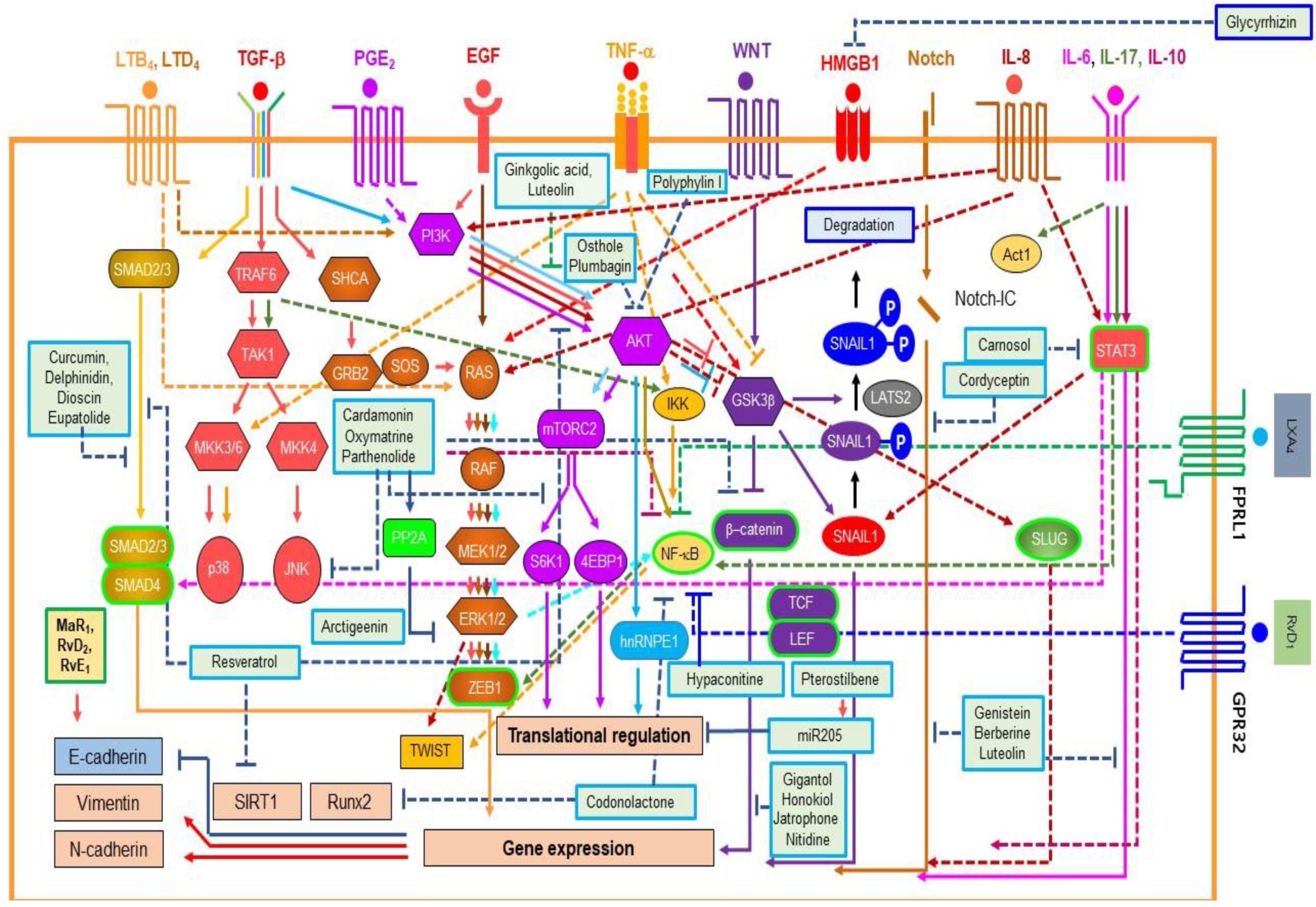 Cancers 11 01841 g003 Cancers 11 01841 g003