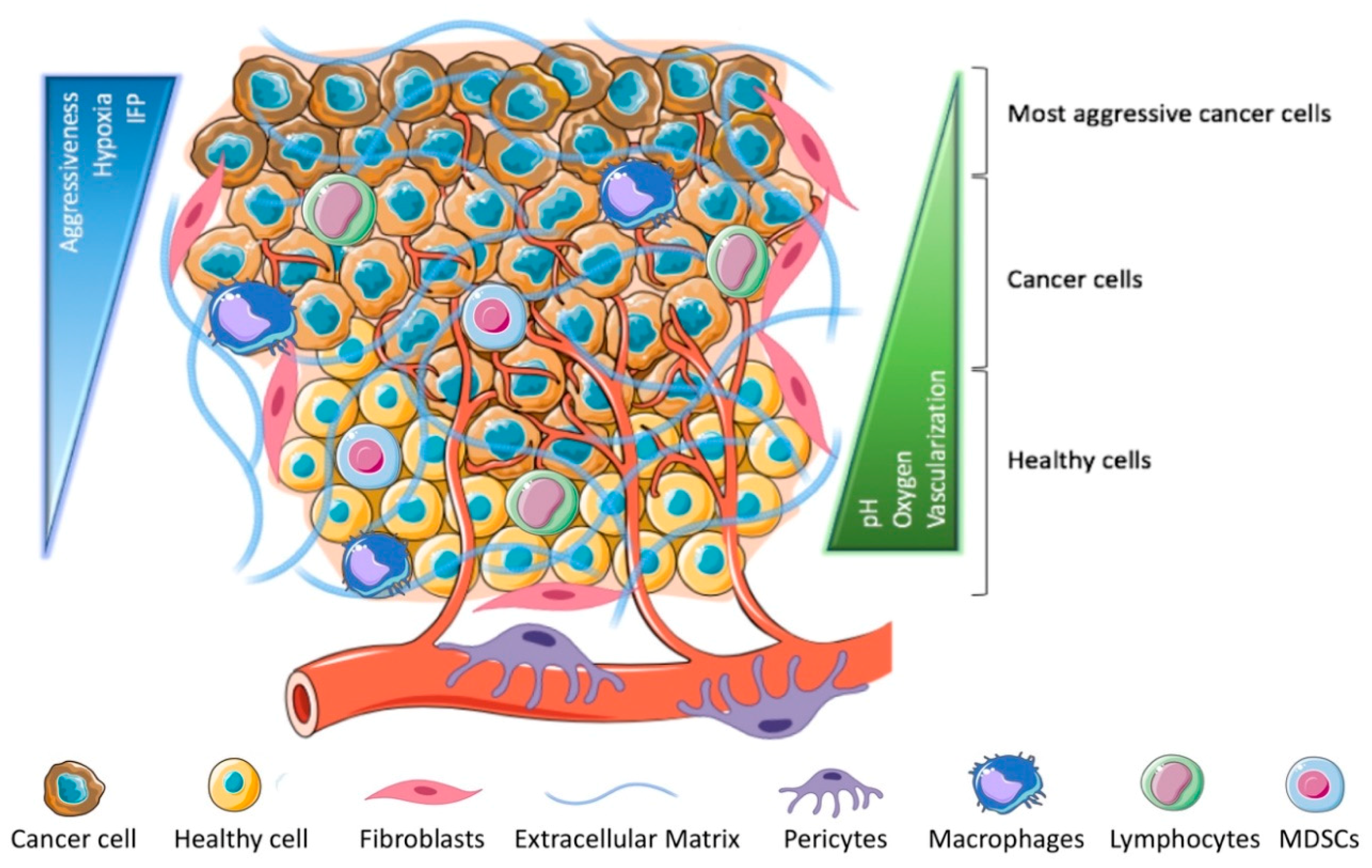 Cancers Free Full Text Thirty Years Of Cancer Nanomedicine Success Frustration And Hope Html