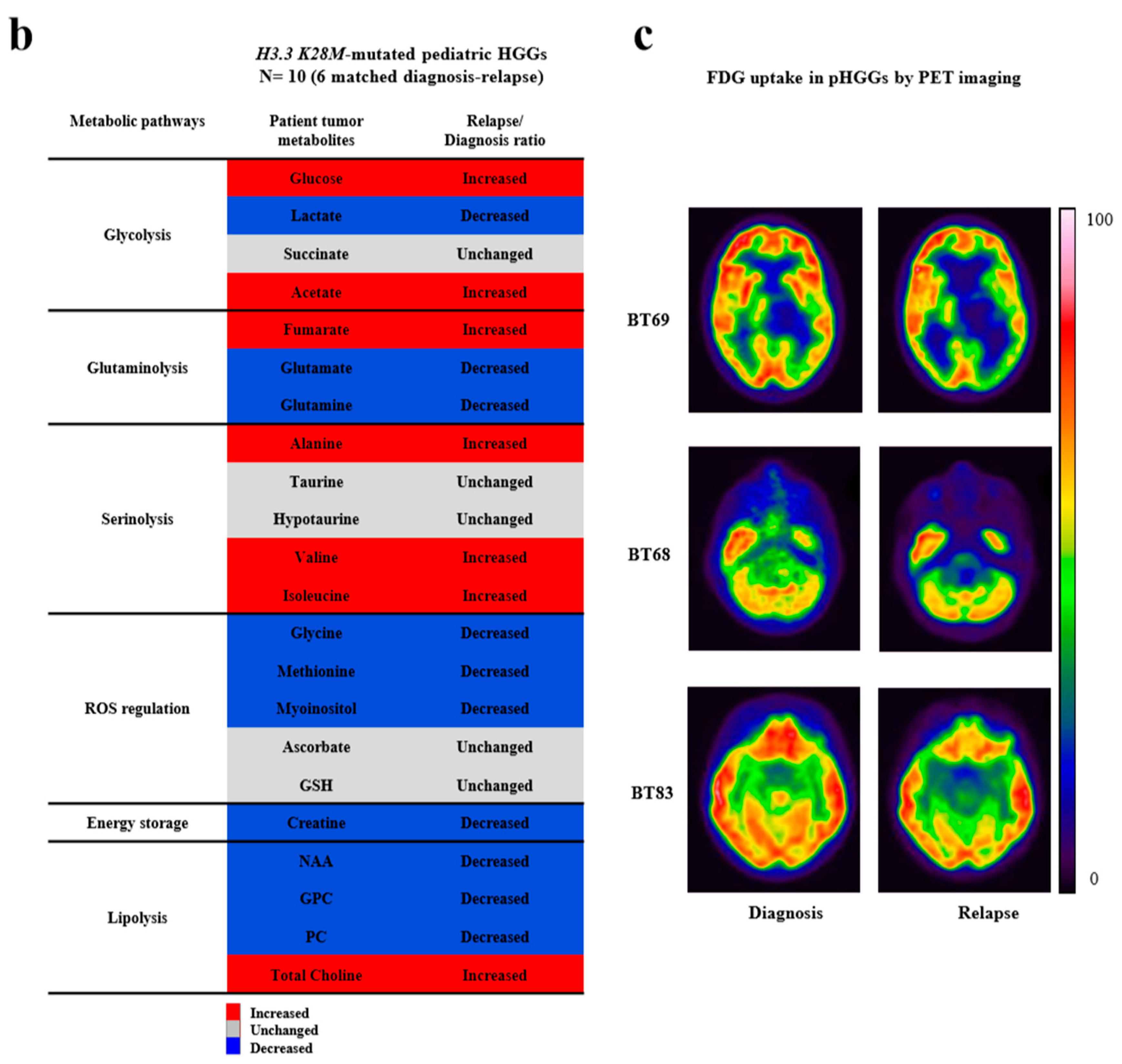 Cancers 11 01875 g002b Cancers 11 01875 g002b