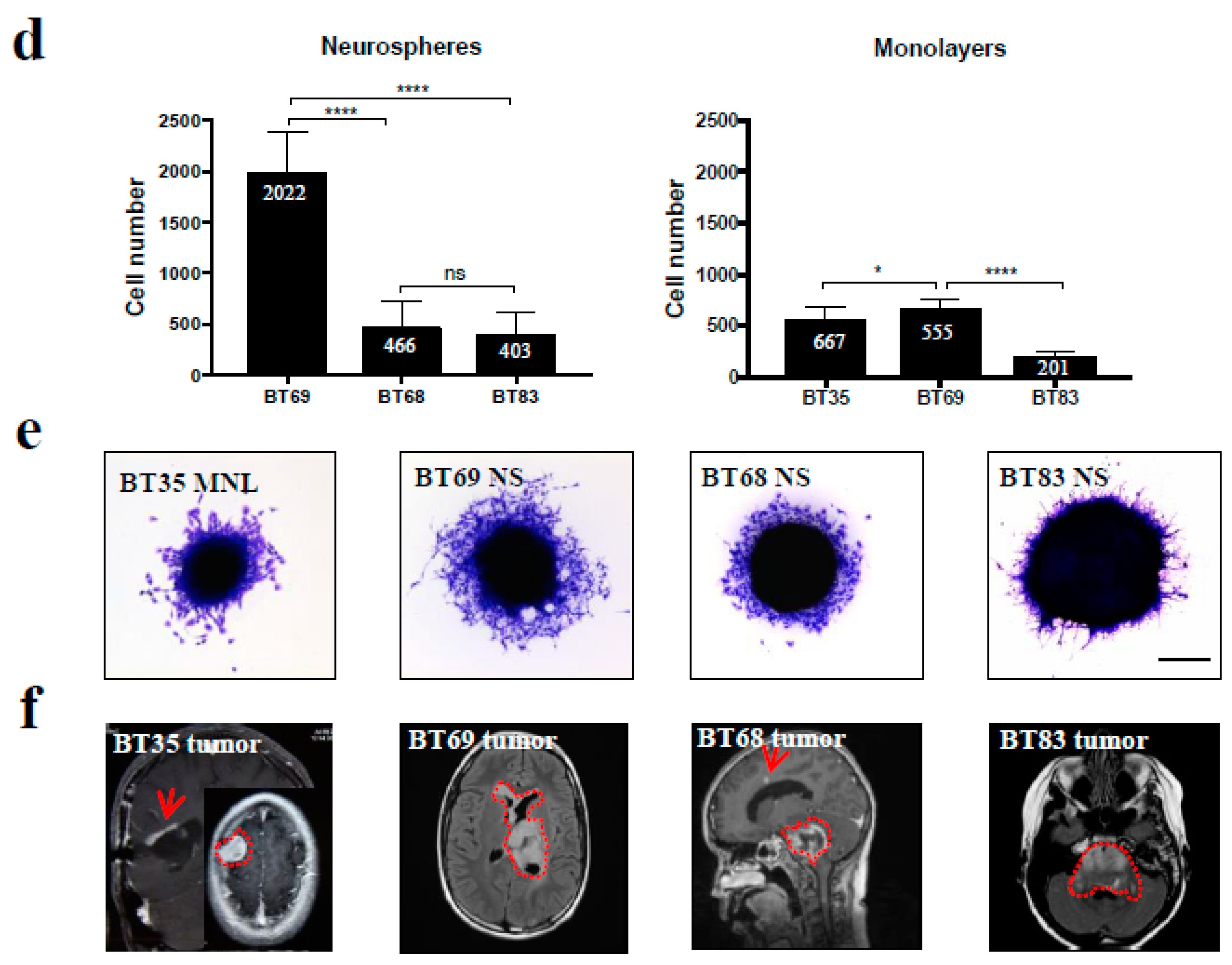 Cancers 11 01875 g003b Cancers 11 01875 g003b