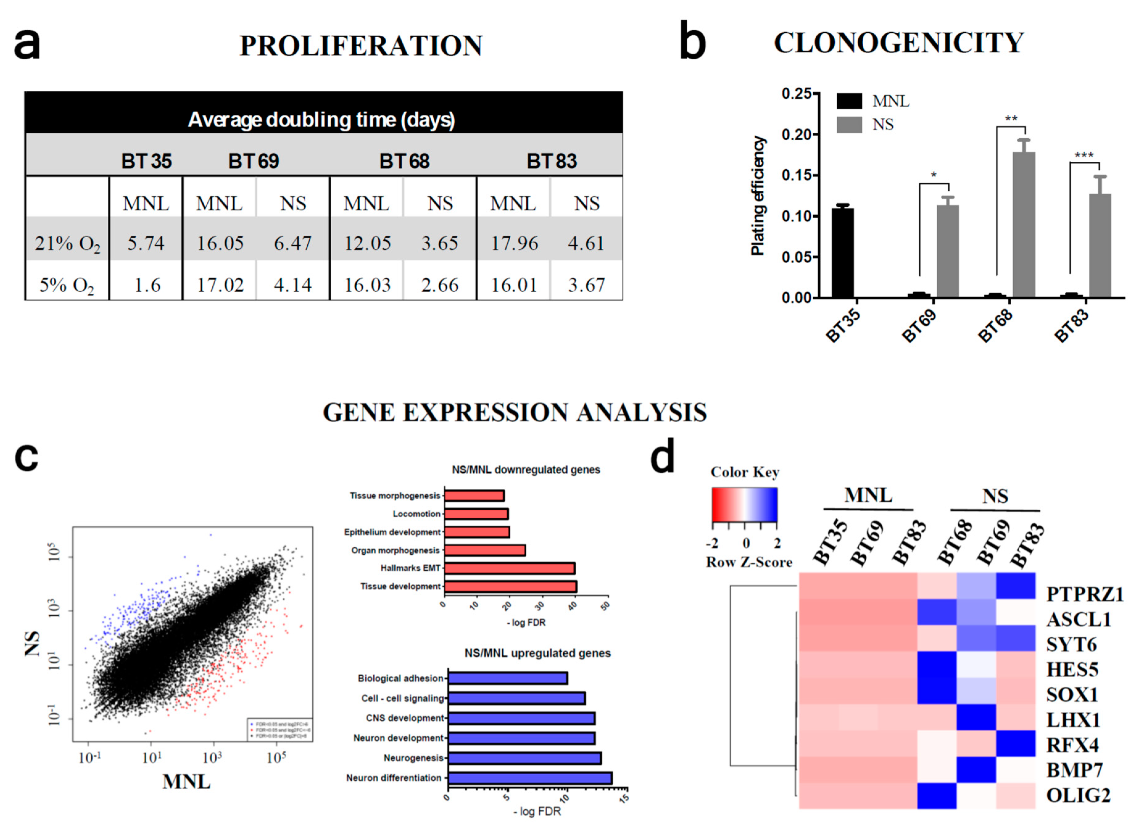 Cancers 11 01875 g004a Cancers 11 01875 g004a
