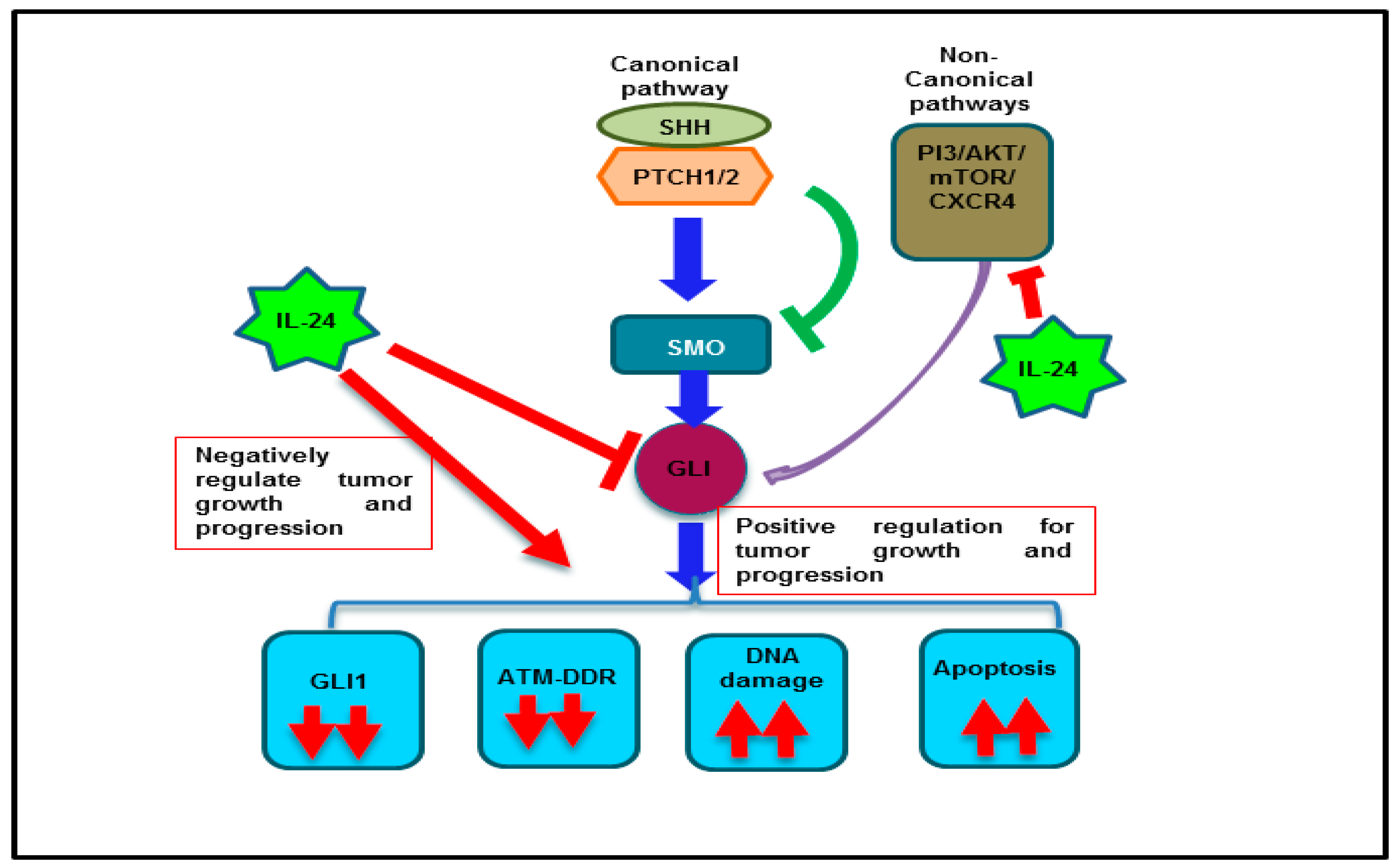 Cancers 11 01879 g008 Cancers 11 01879 g008