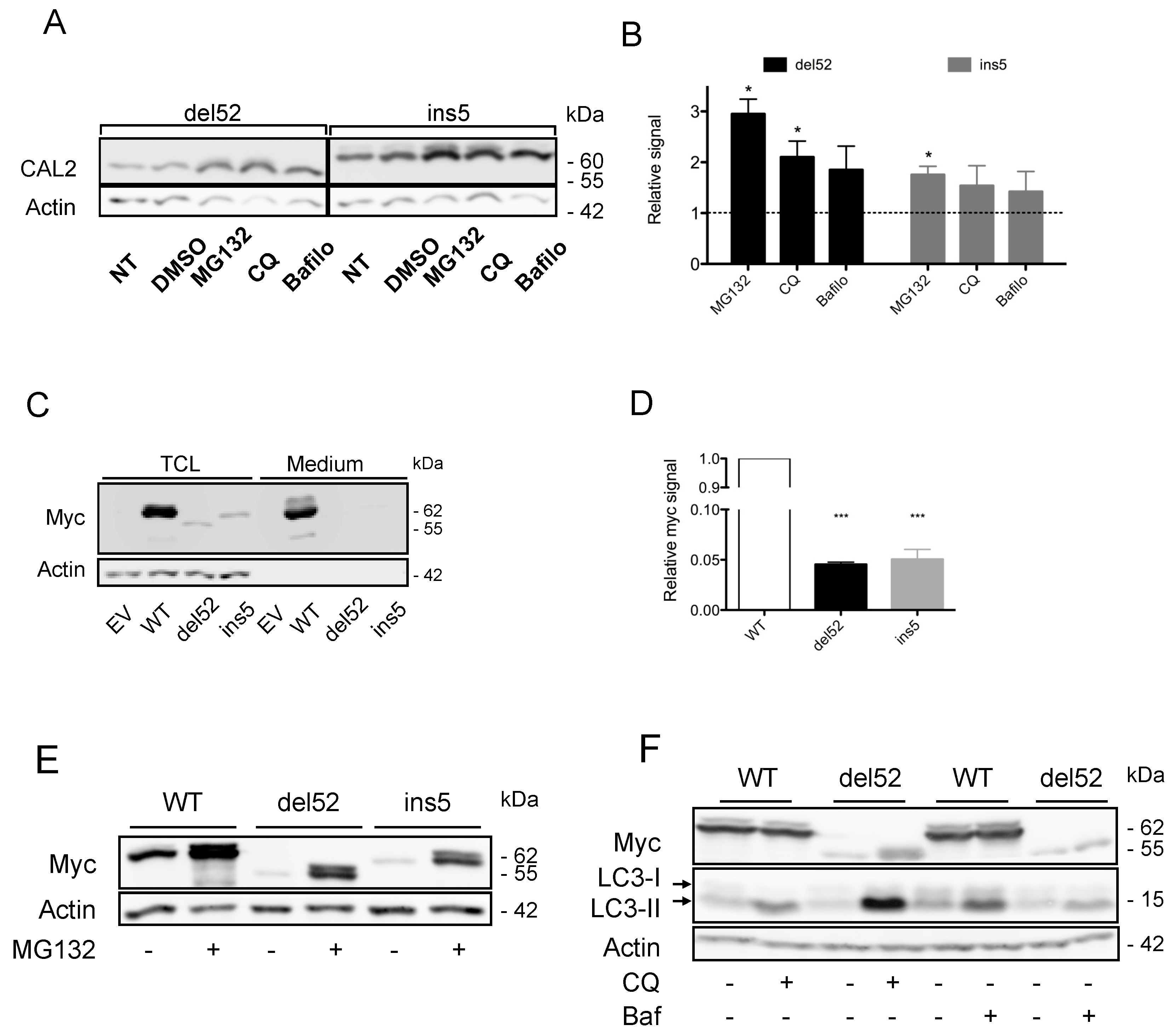 Cancers 11 01921 g002