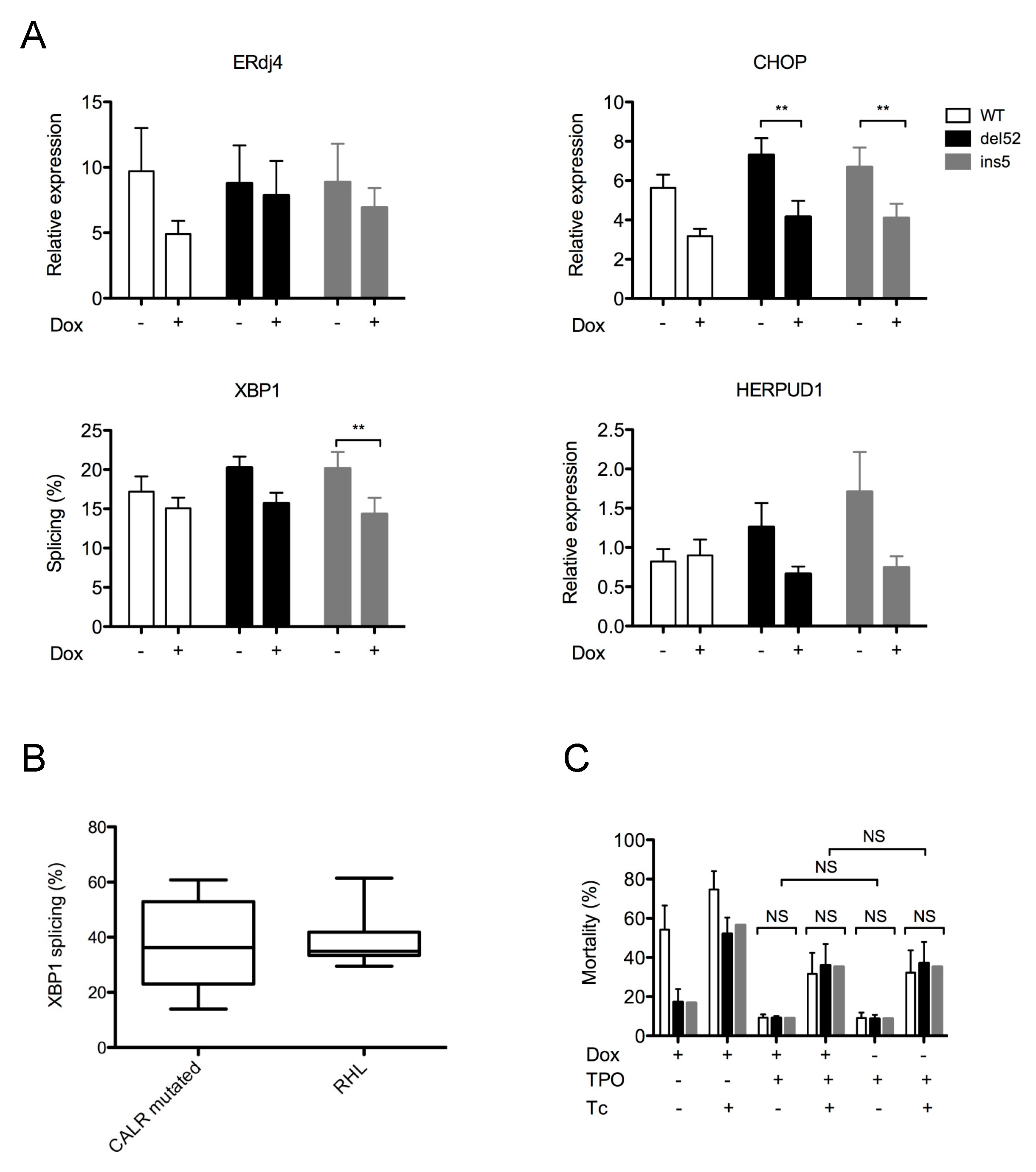 Cancers 11 01921 g003