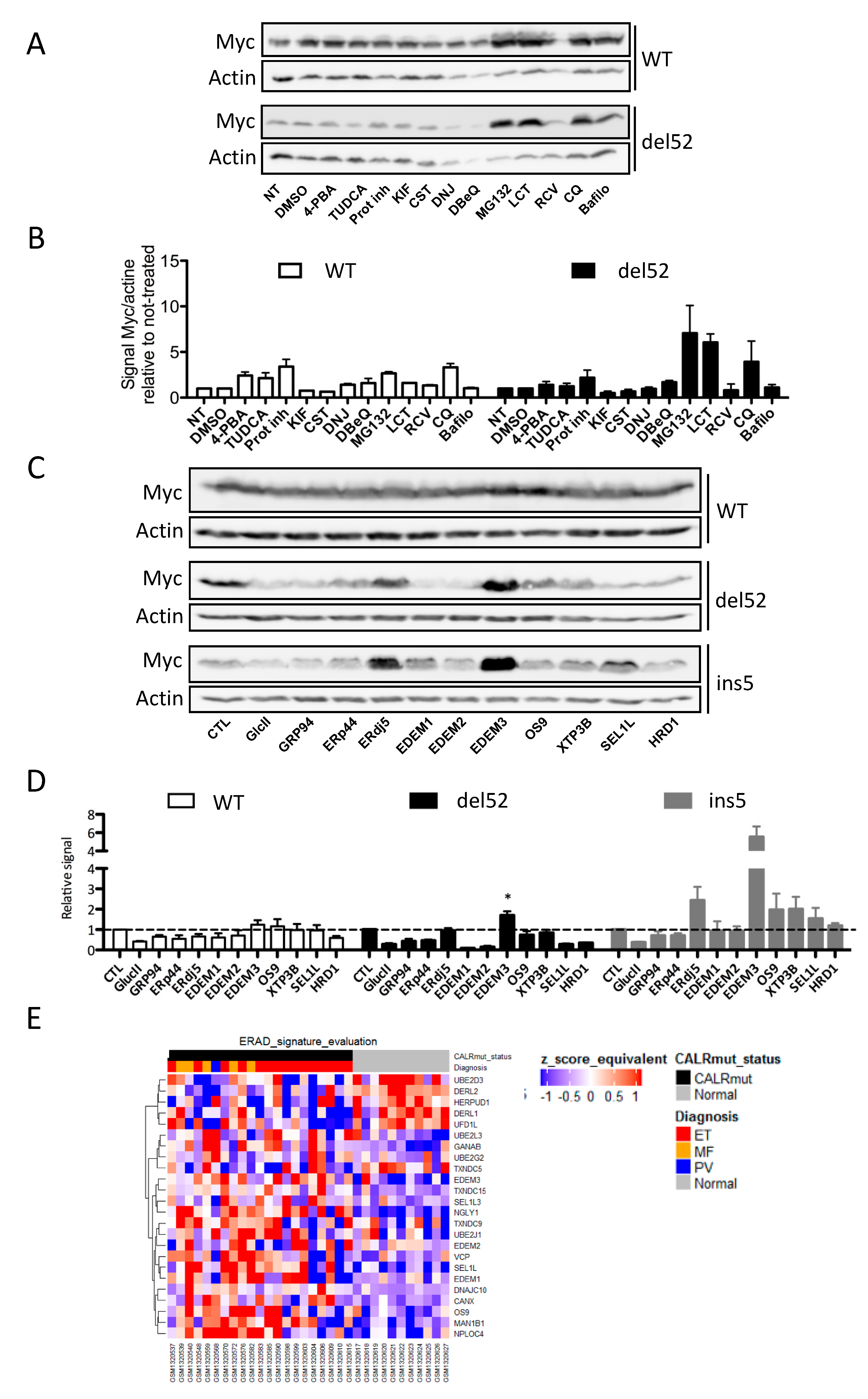Cancers 11 01921 g005