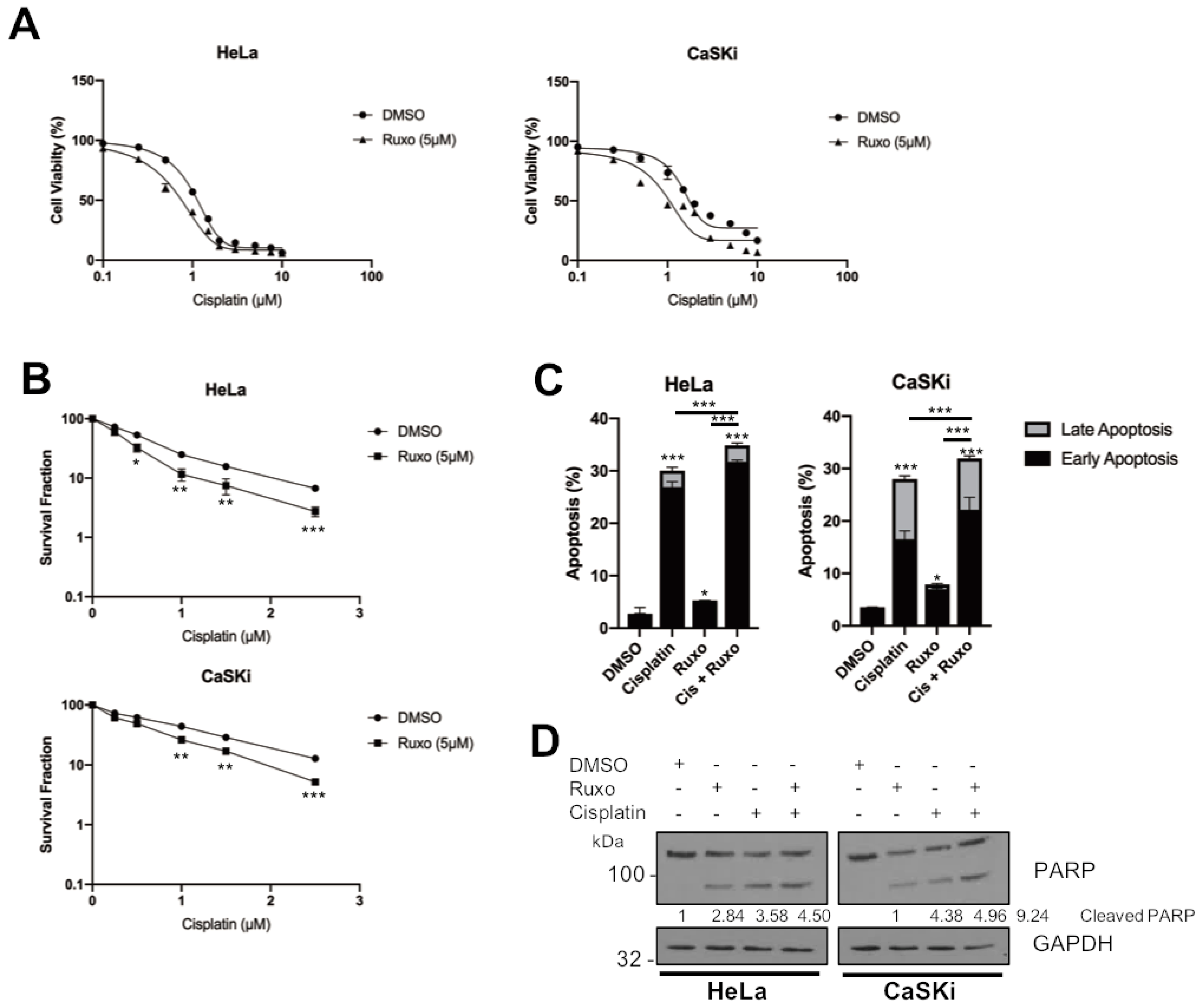 Cancers 11 01934 g008