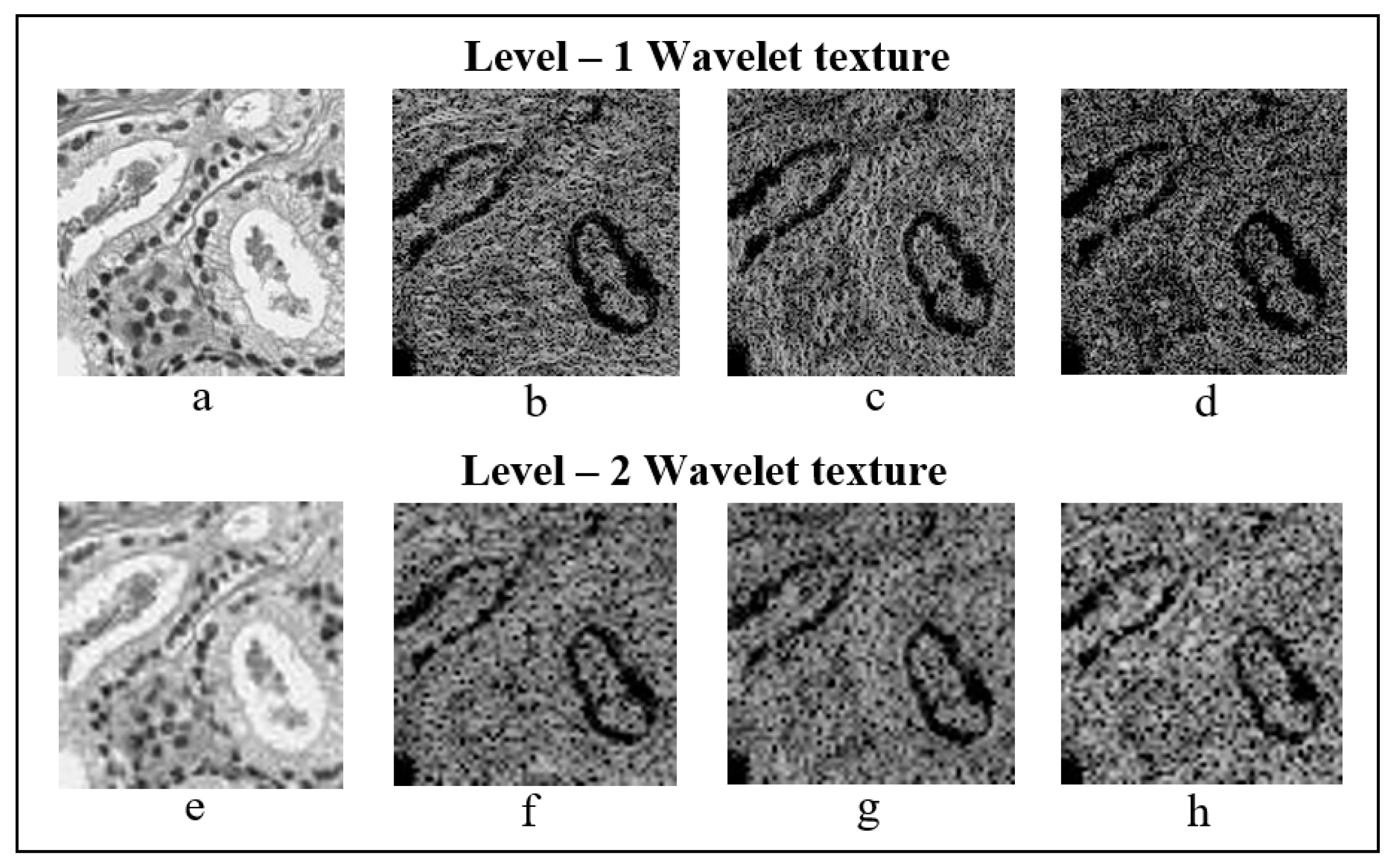Cancers 11 01937 g008