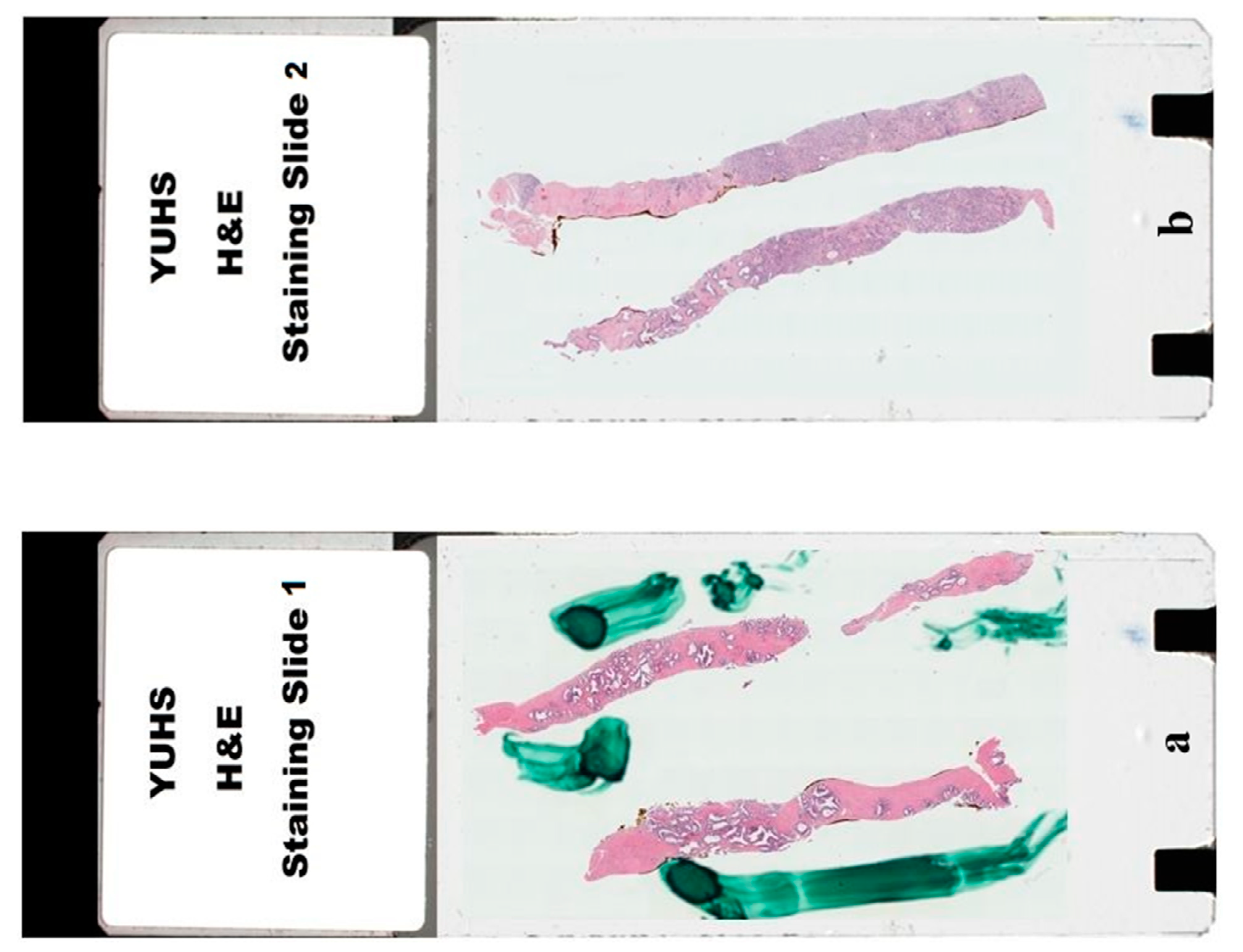 Cancers 11 01937 g0a1