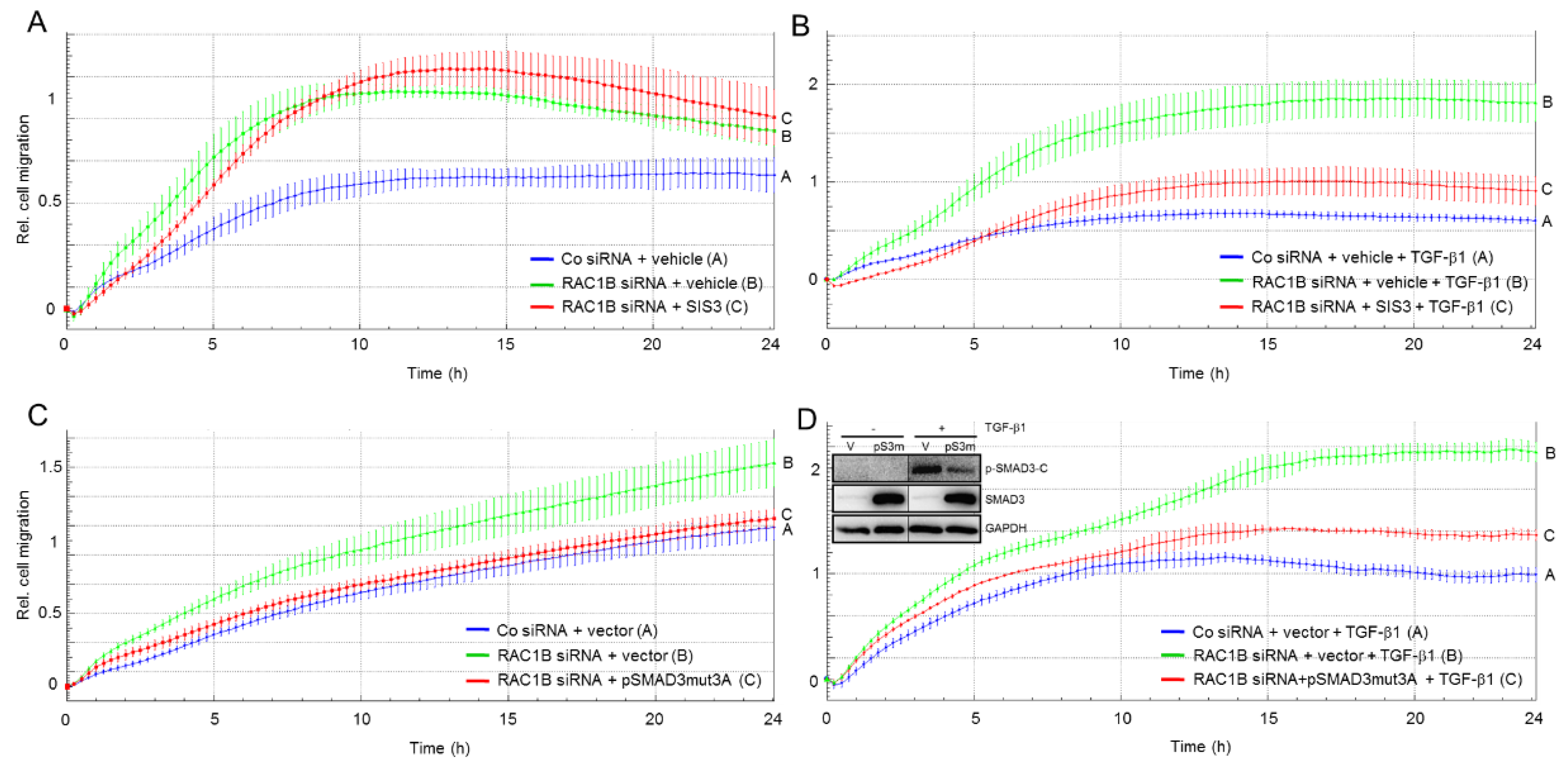 Cancers 11 01959 g005 Cancers 11 01959 g005