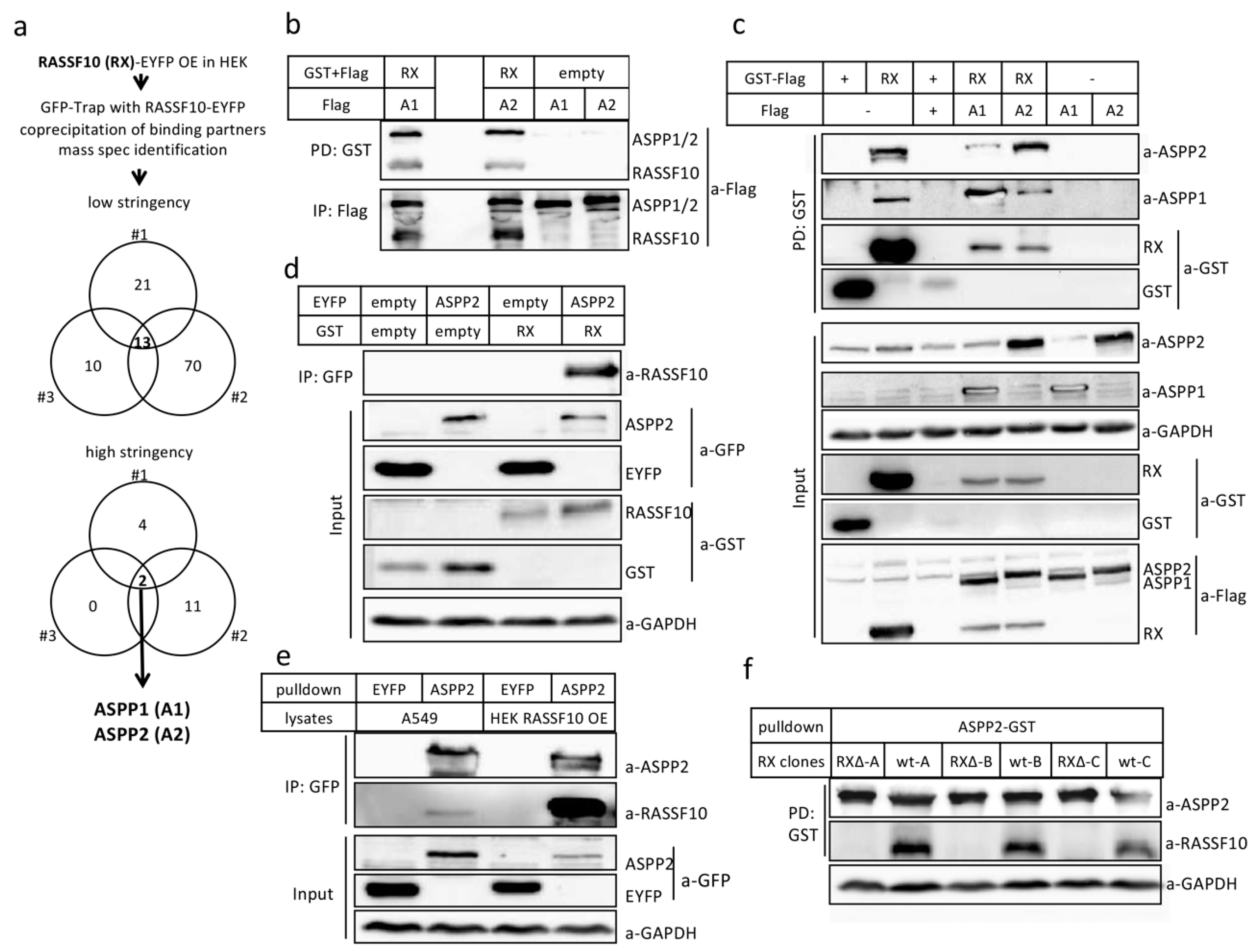 Cancers 11 01976 g004 Cancers 11 01976 g004