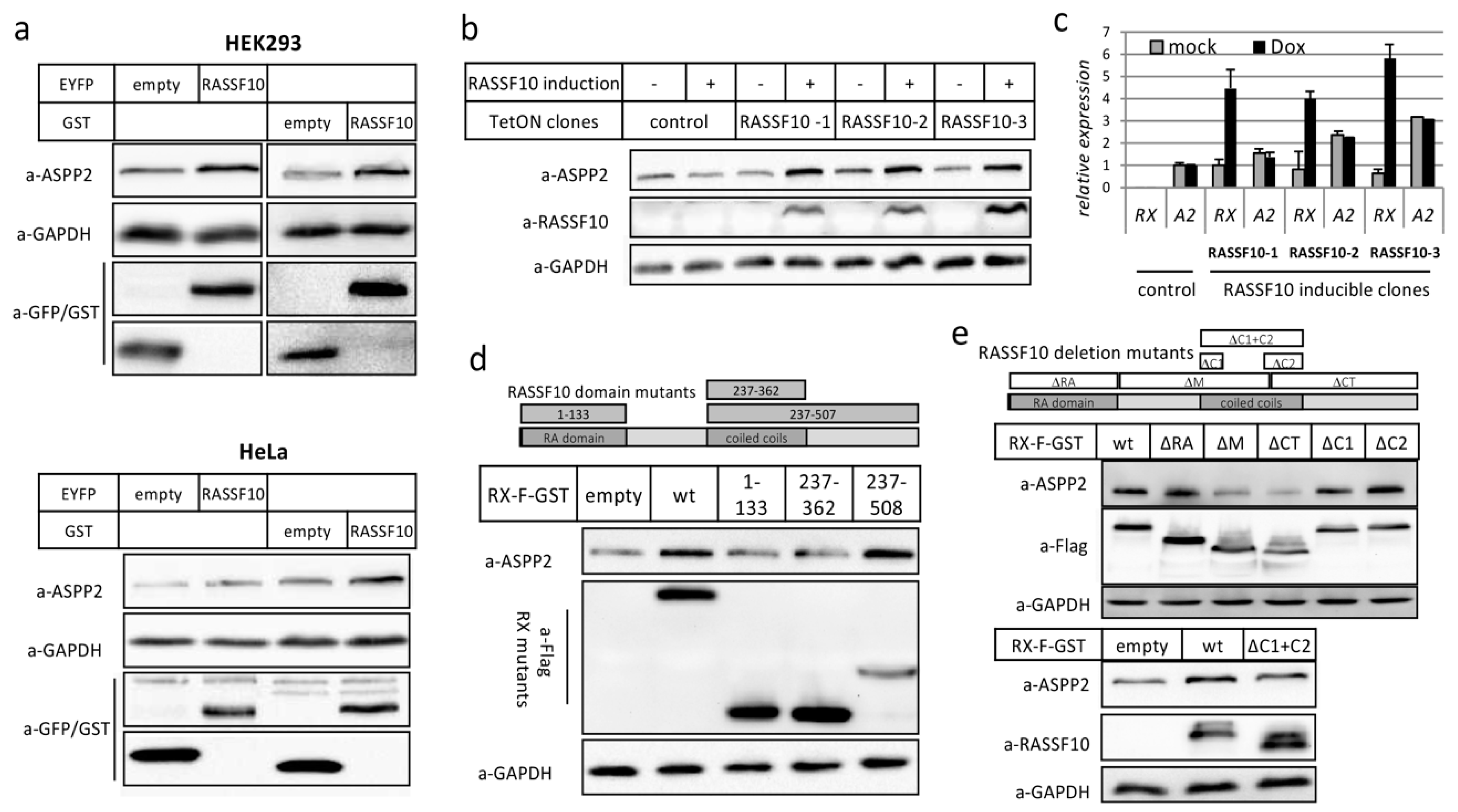 Cancers 11 01976 g005 Cancers 11 01976 g005