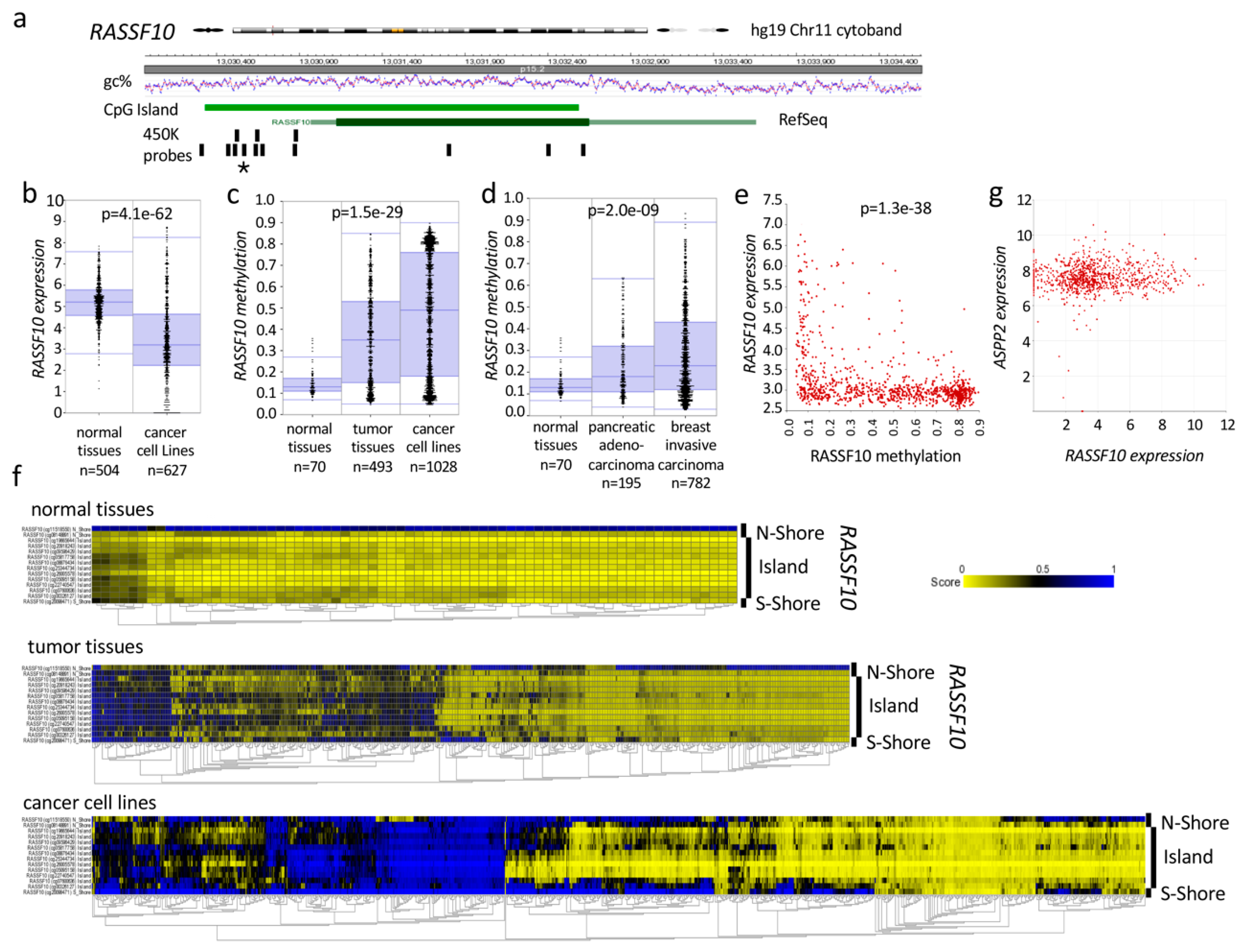 Cancers 11 01976 g007 Cancers 11 01976 g007