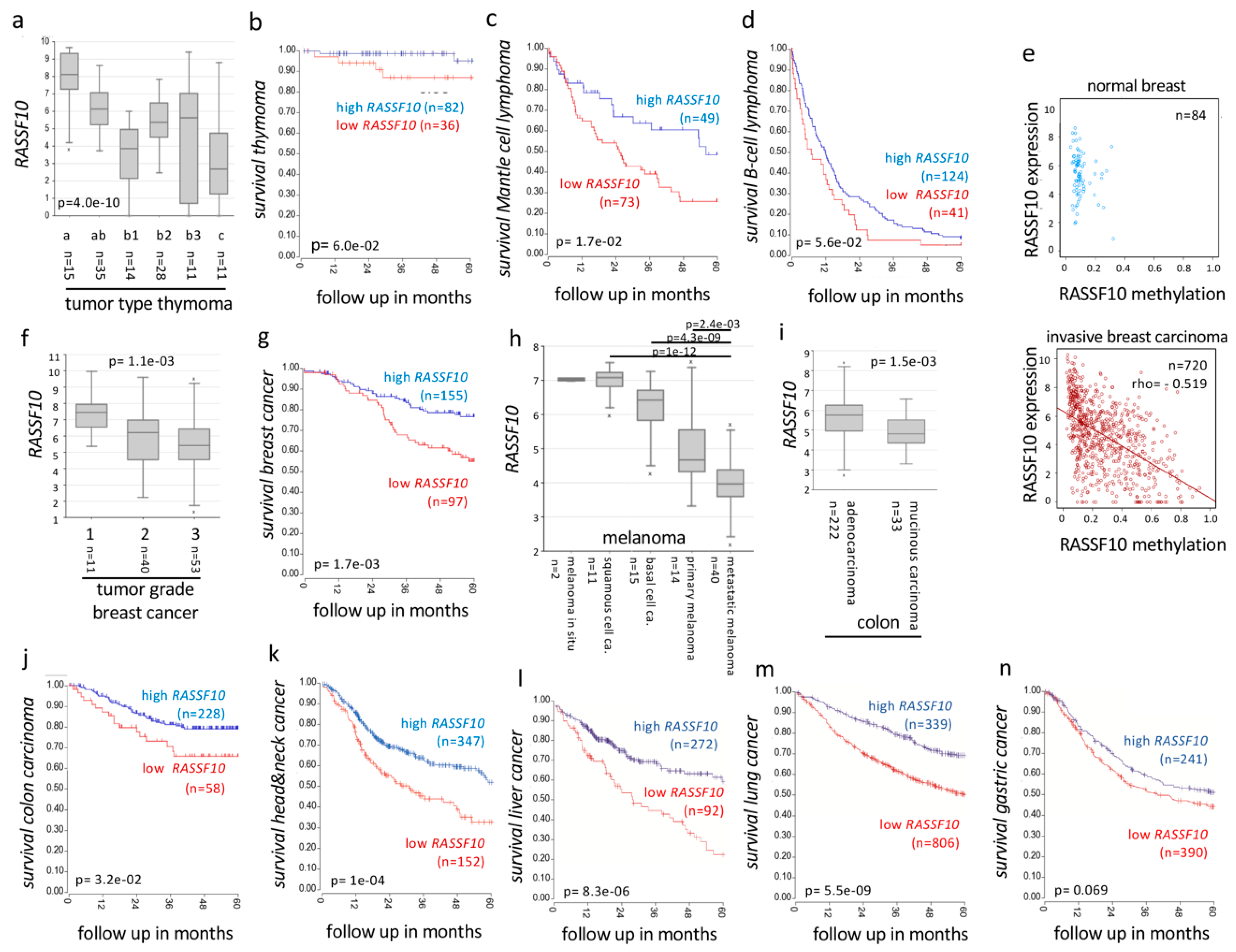 Cancers 11 01976 g008 Cancers 11 01976 g008