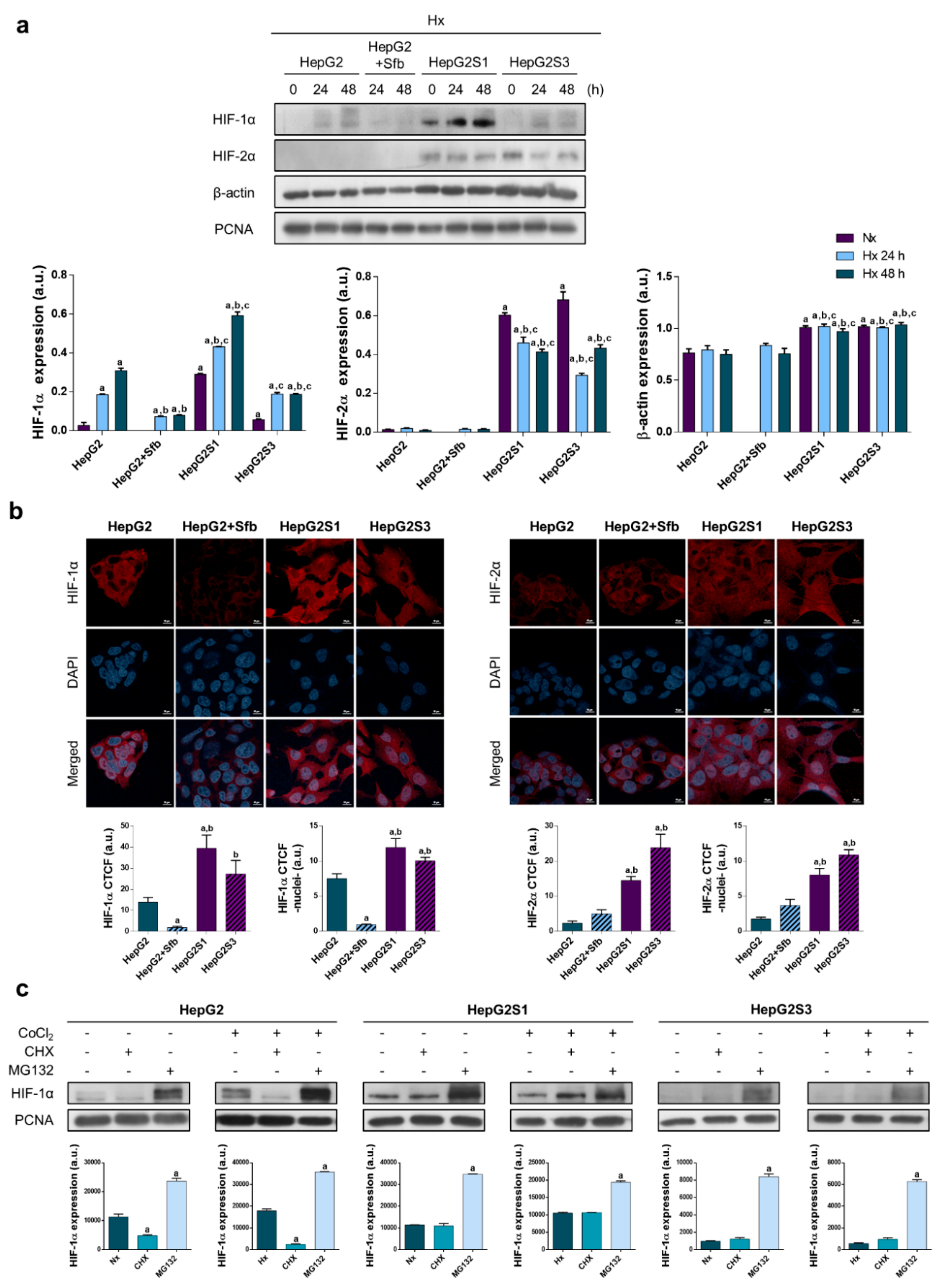 Cancers 11 01984 g002
