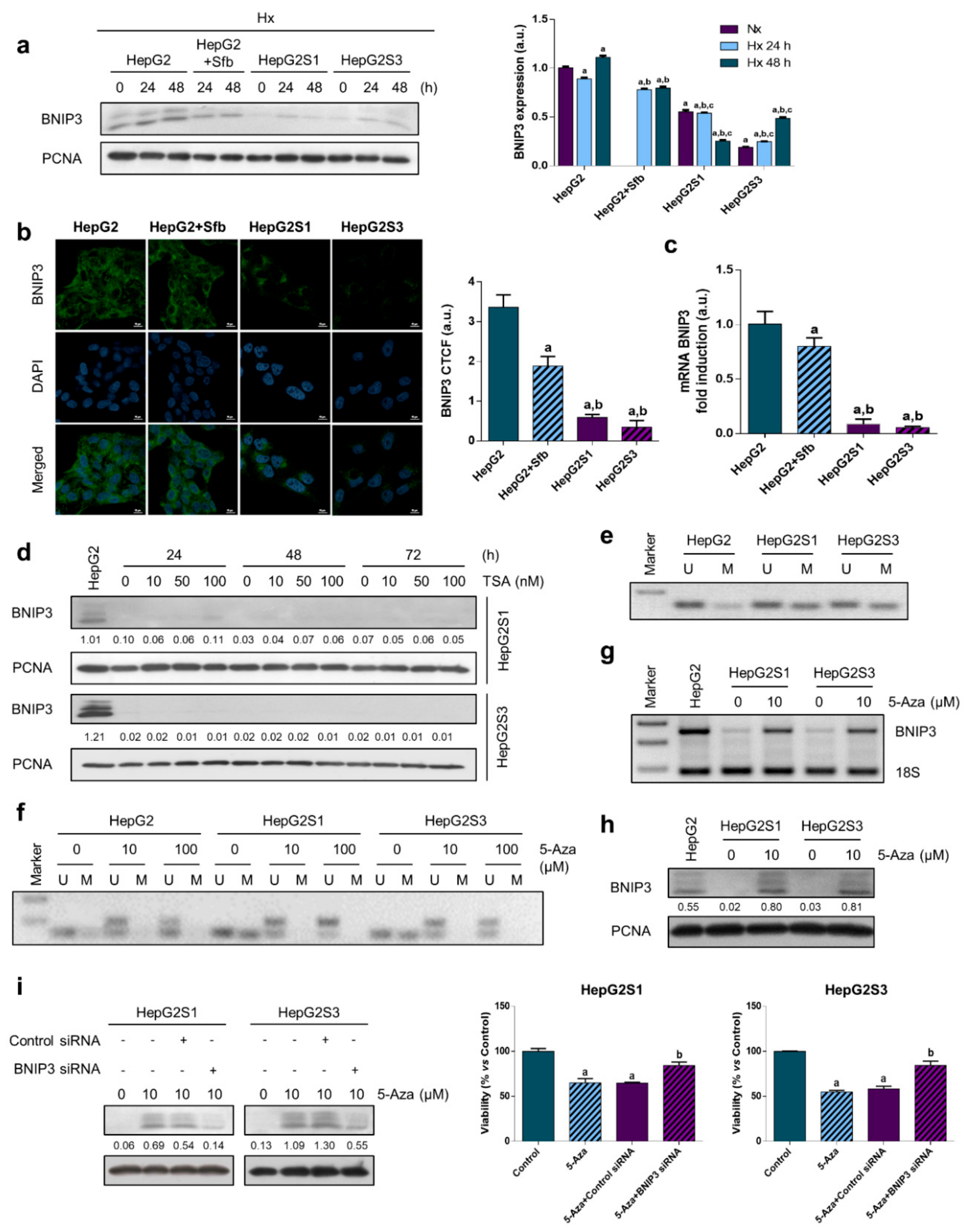 Cancers 11 01984 g004