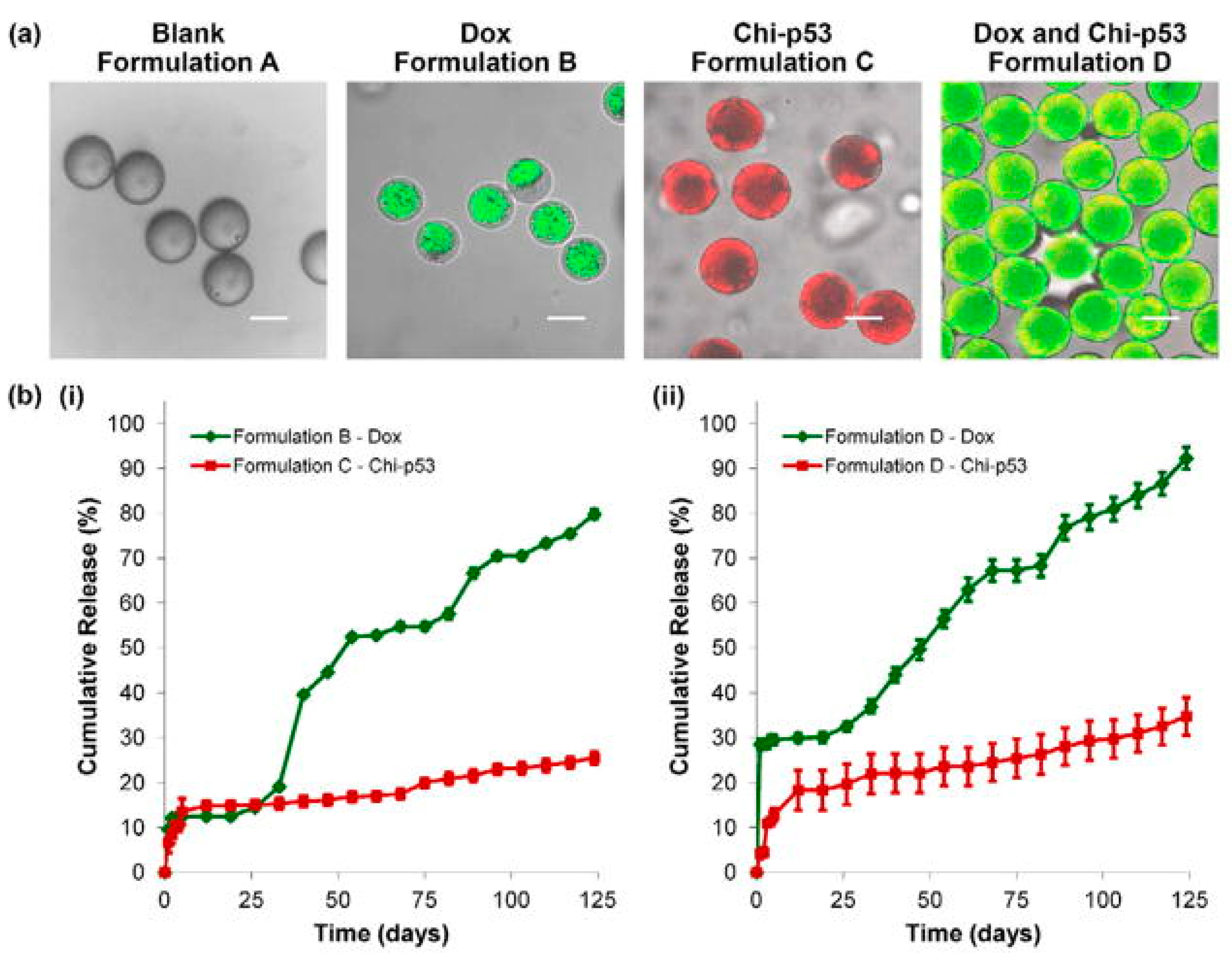 Cancers 11 02026 g006