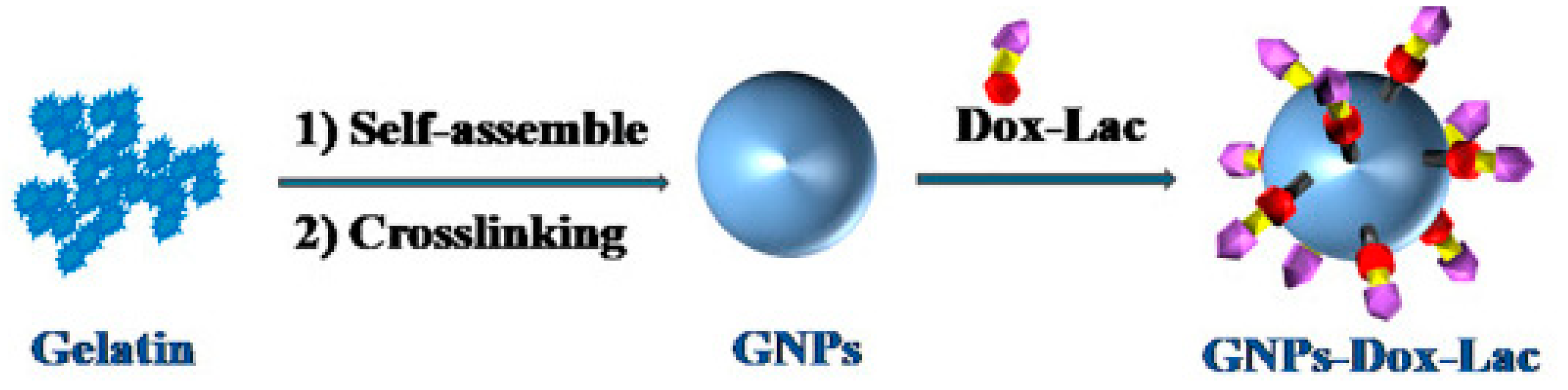 Cancers 11 02026 g007