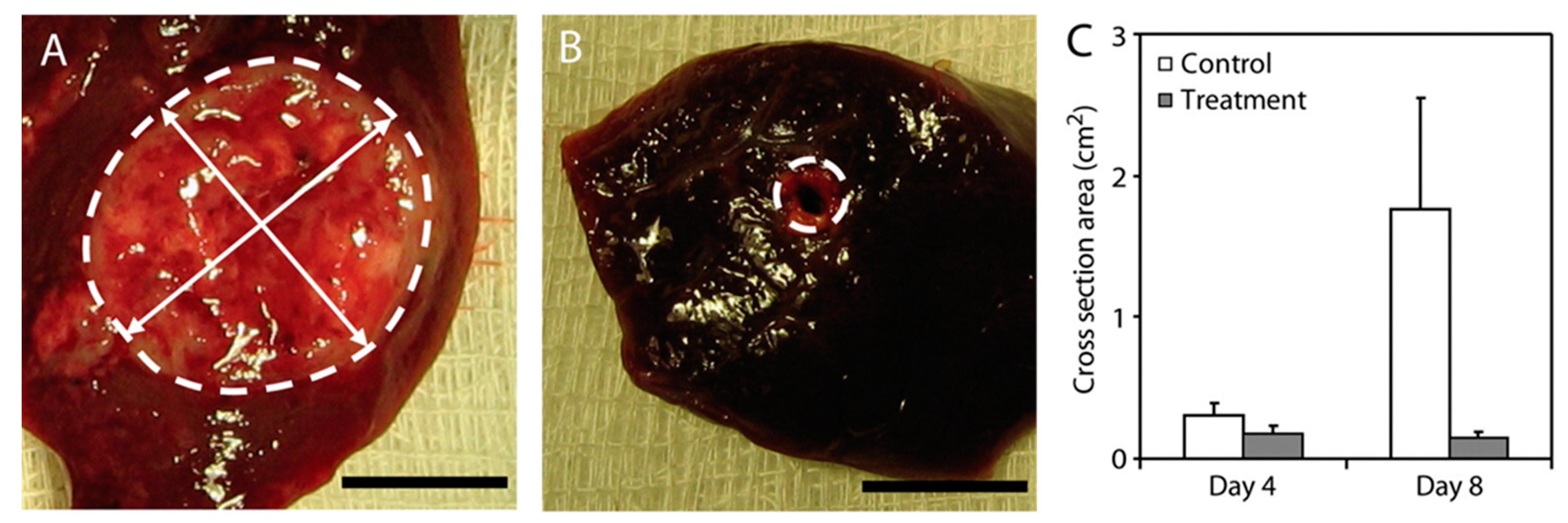 Cancers 11 02026 g008