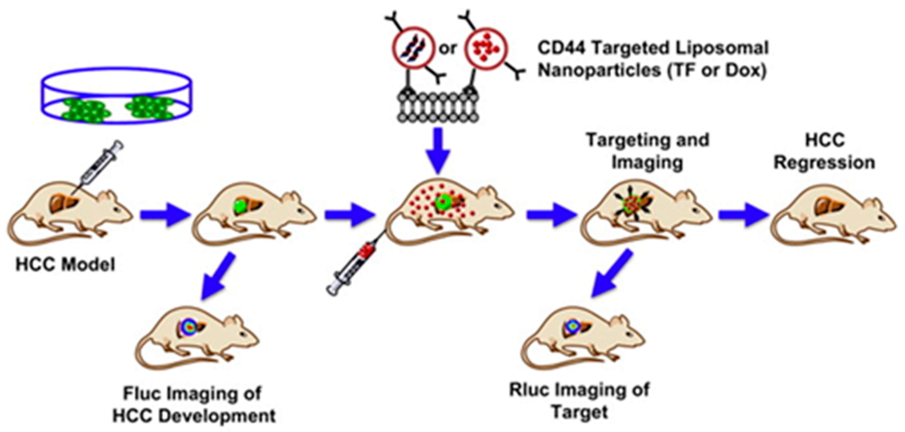 Cancers 11 02026 g009