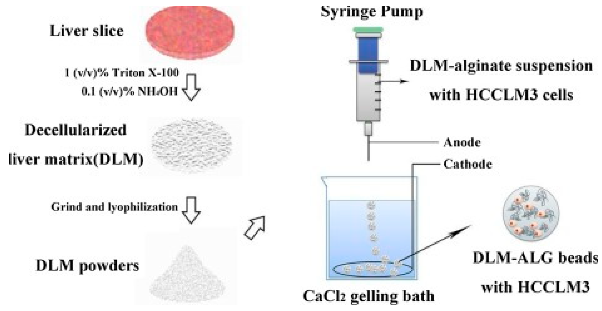 Cancers 11 02026 g012