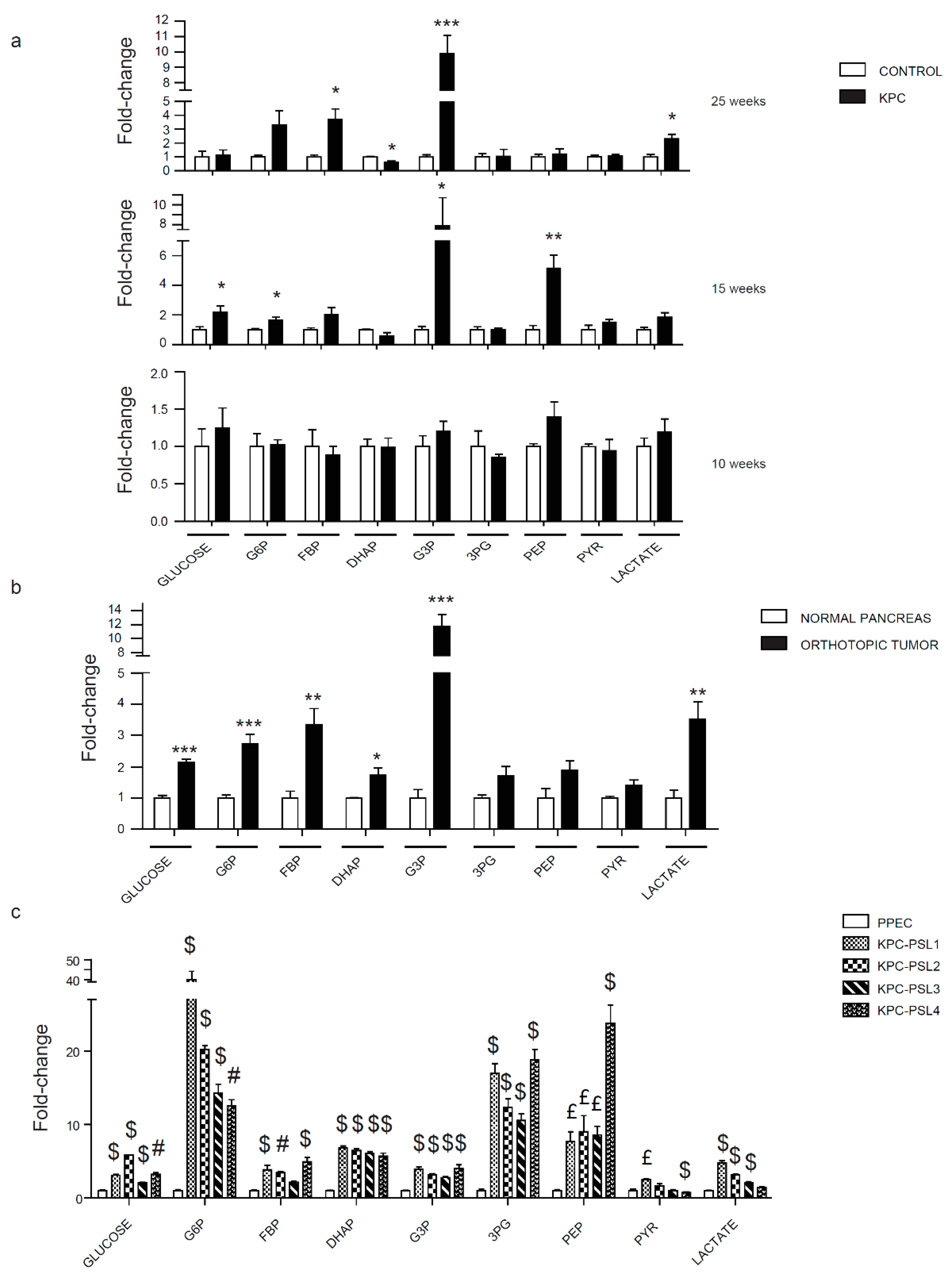 Cancers 12 00002 g002 Cancers 12 00002 g002