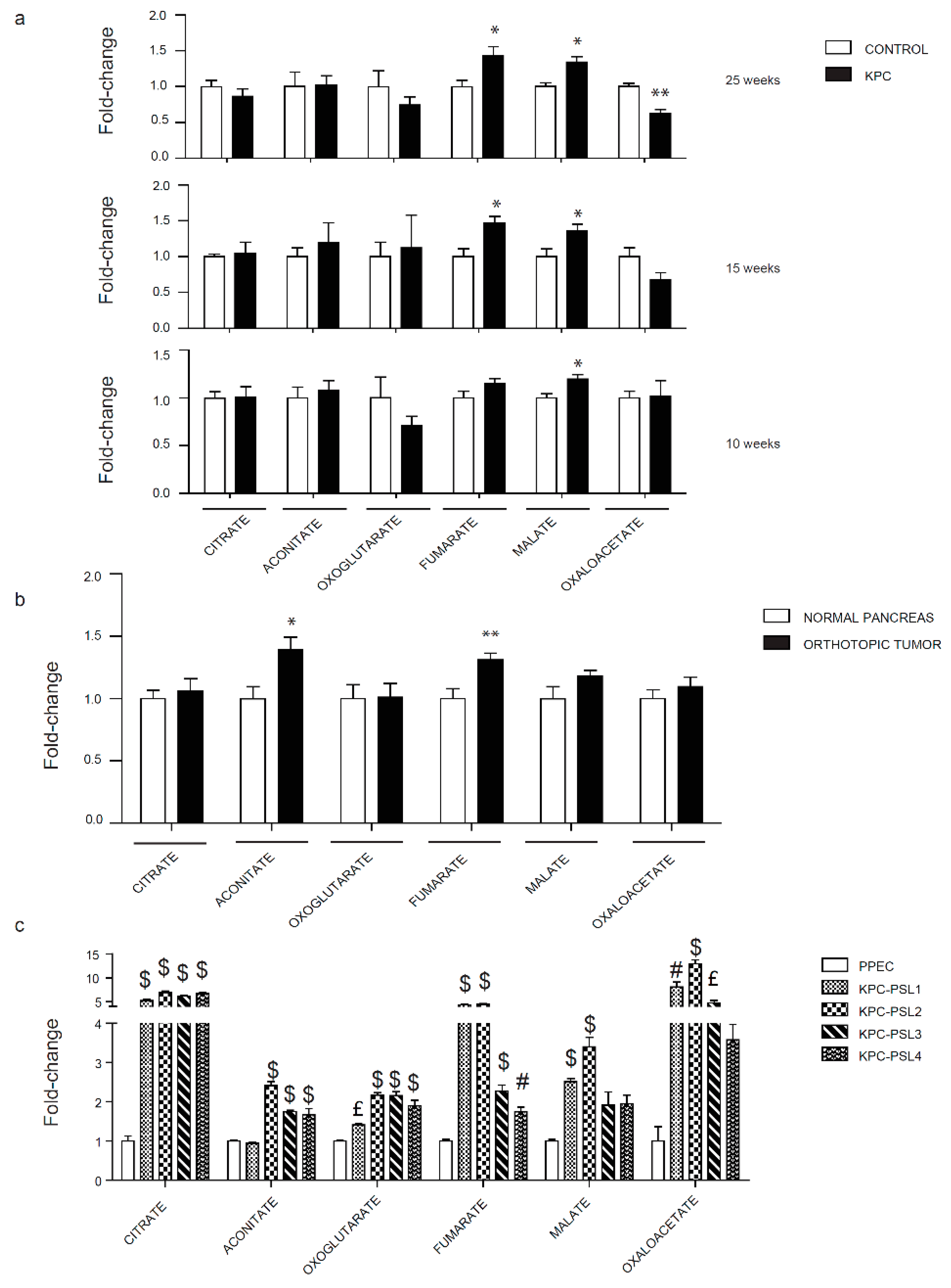 Cancers 12 00002 g004 Cancers 12 00002 g004