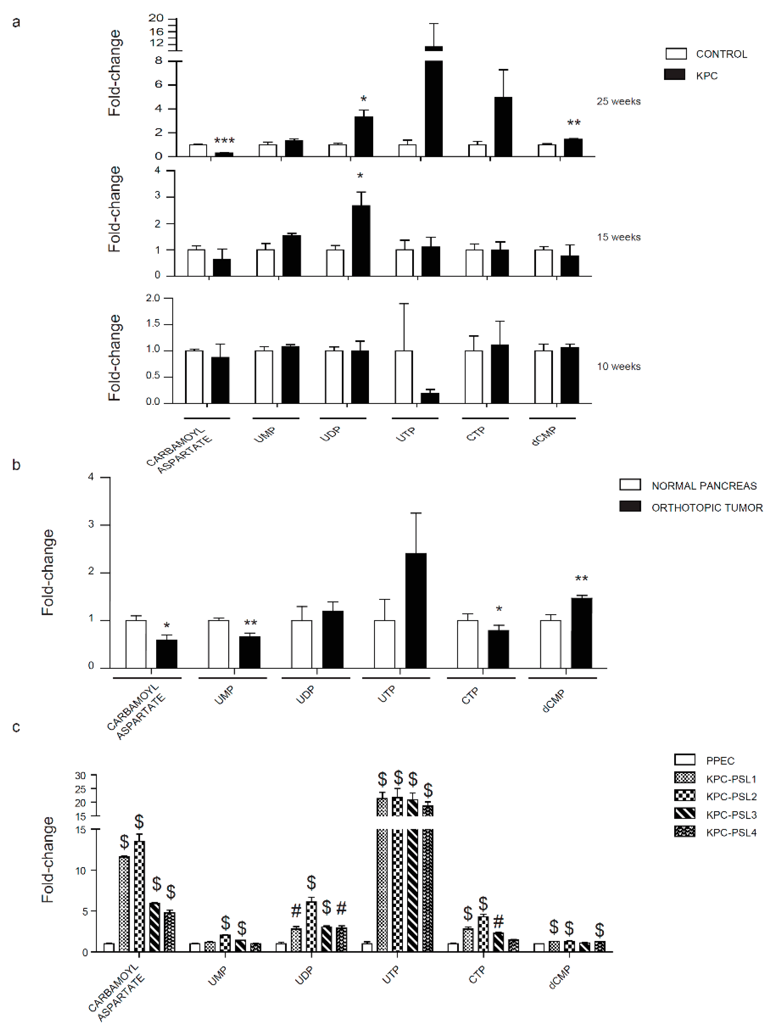 Cancers 12 00002 g005 Cancers 12 00002 g005