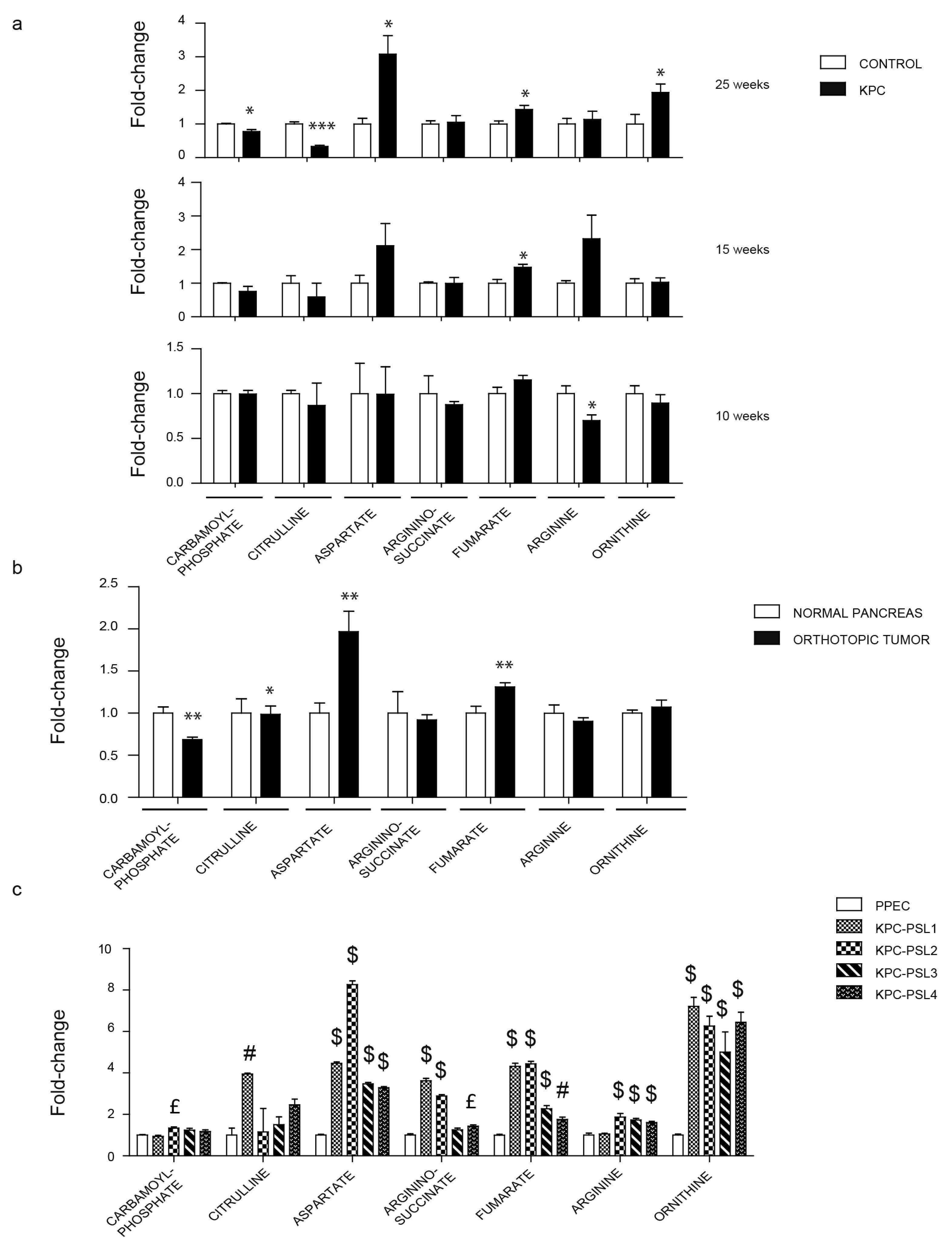 Cancers 12 00002 g006 Cancers 12 00002 g006