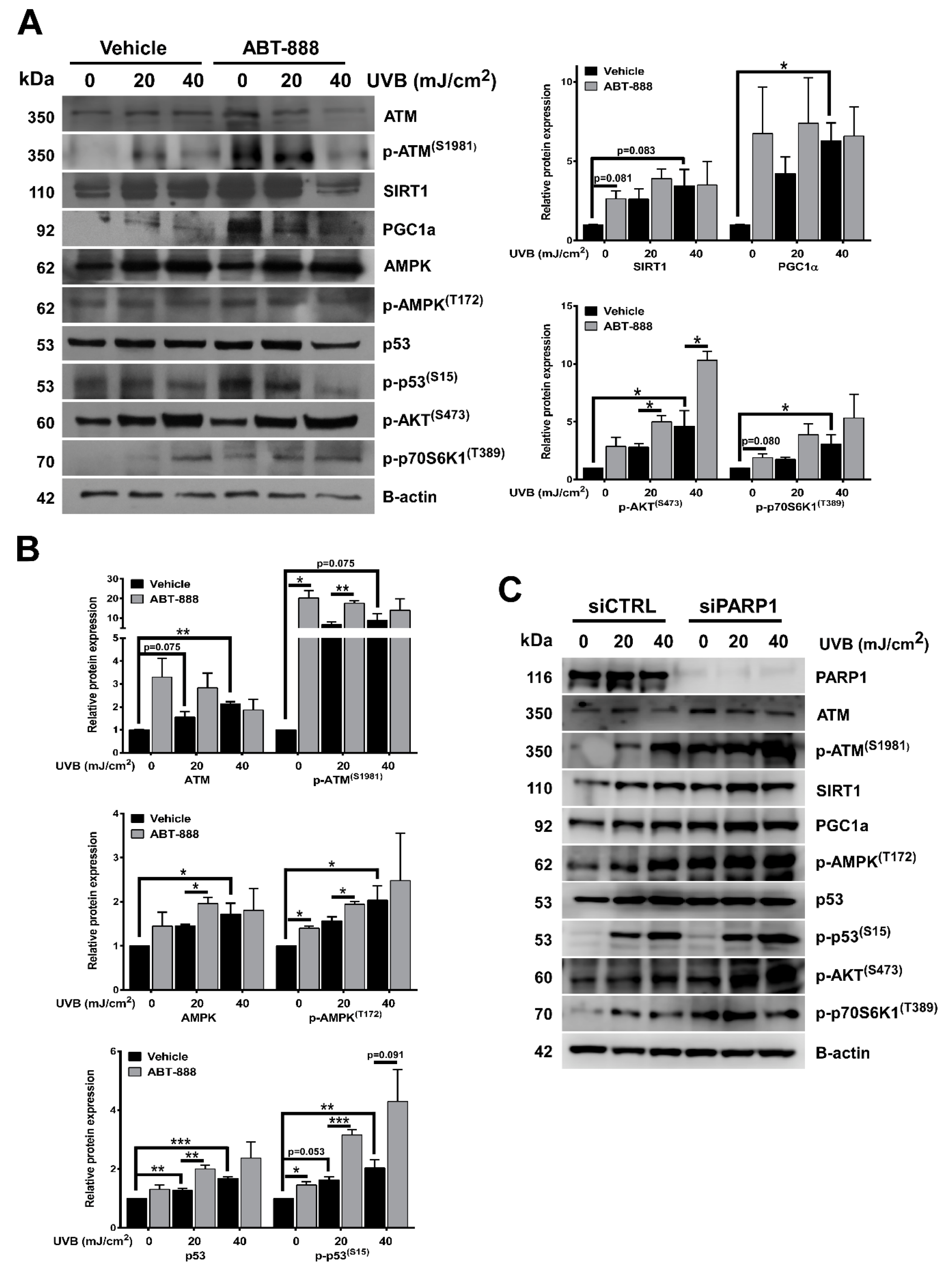 Cancers 12 00005 g008