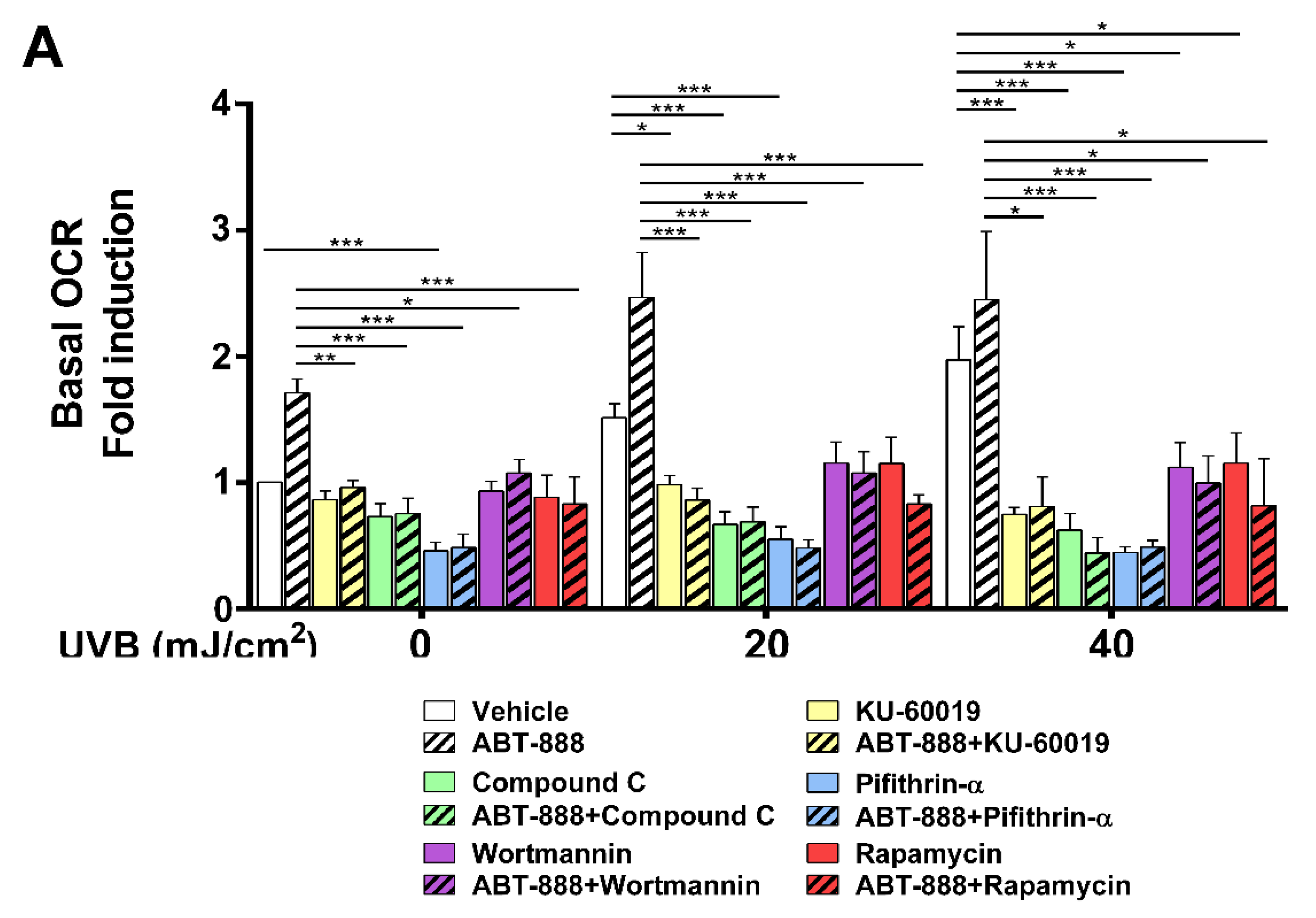 Cancers 12 00005 g009a